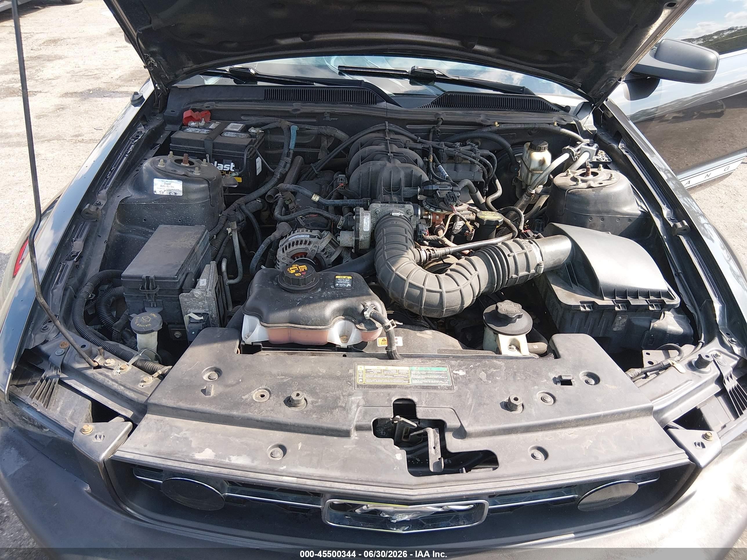 2009 Ford Mustang V6/v6 Premium Gray vin: 1ZVHT80NX95119126
