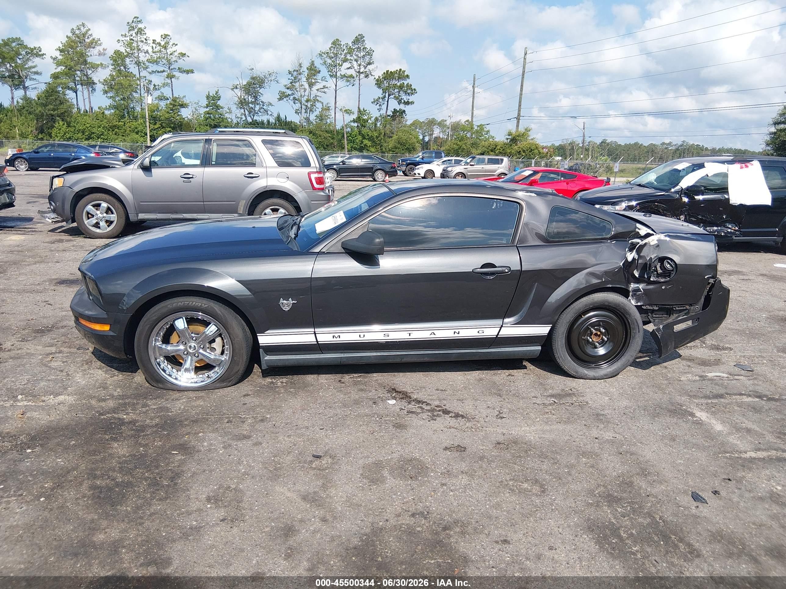2009 Ford Mustang V6/v6 Premium Gray vin: 1ZVHT80NX95119126