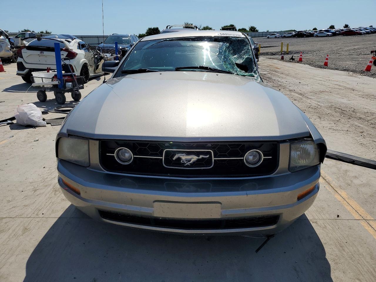 2009 Ford Mustang Gray vin: 1ZVHT80NX95130966