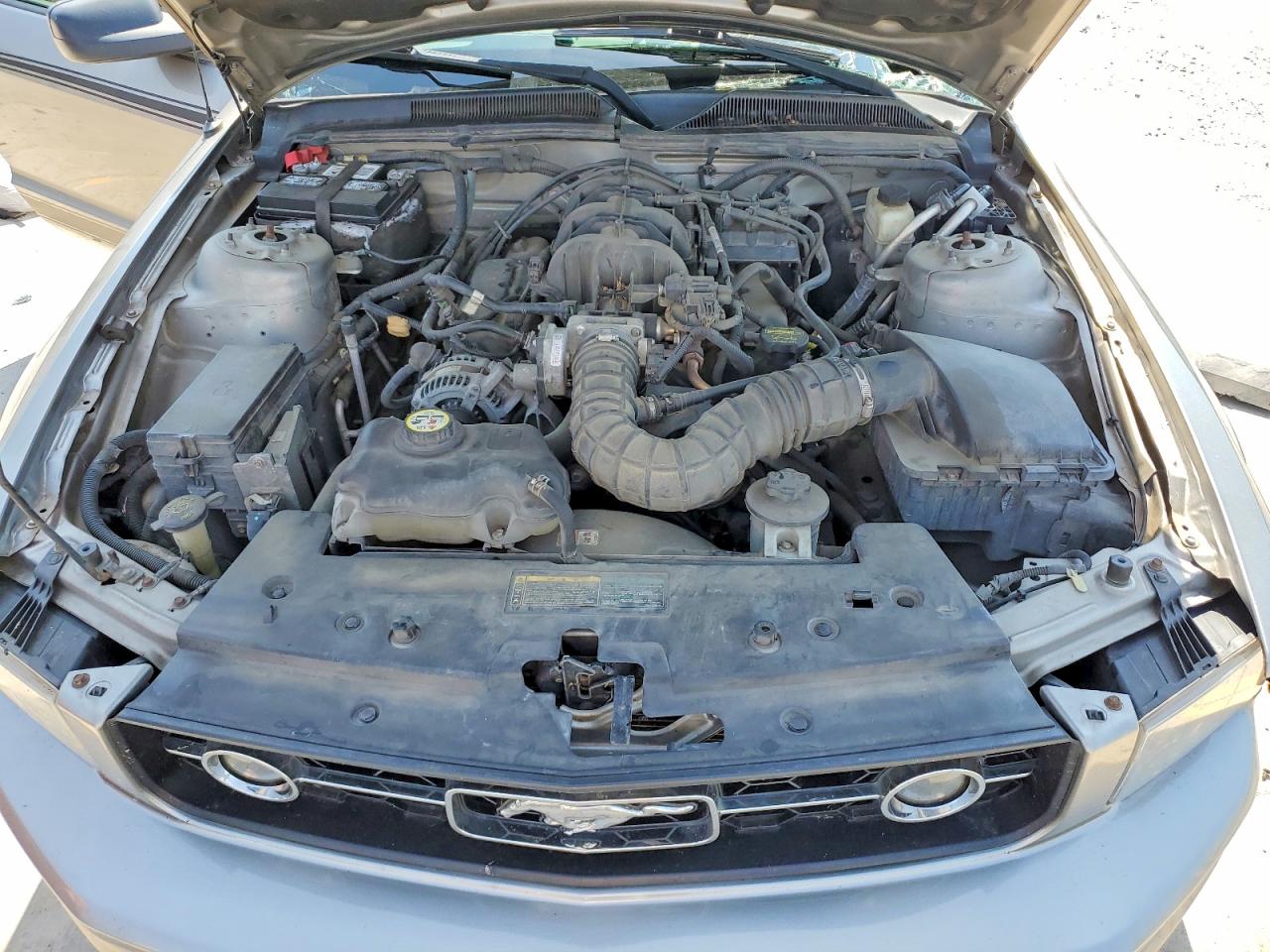 2009 Ford Mustang Gray vin: 1ZVHT80NX95130966