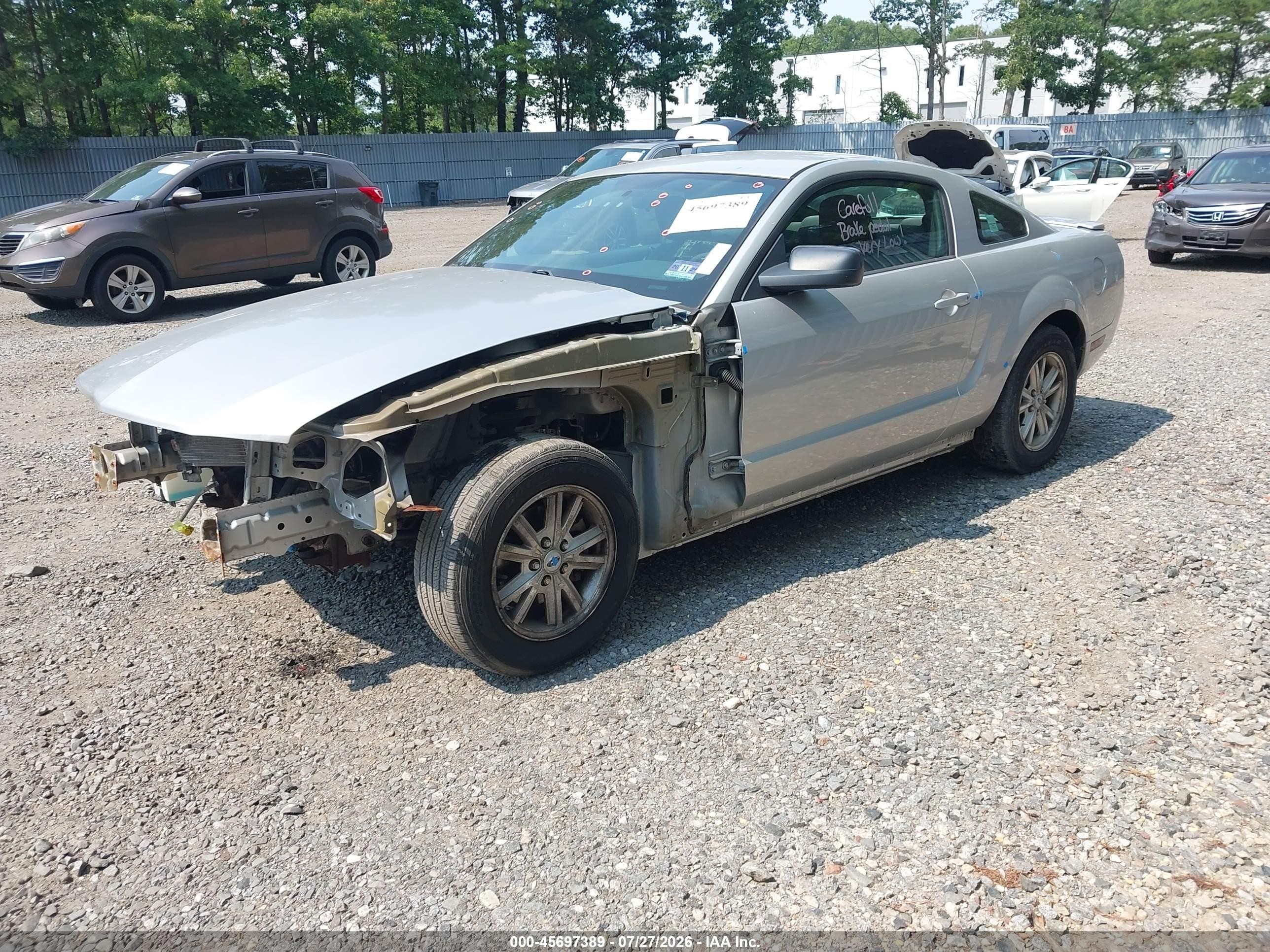 2009 Ford Mustang V6/v6 Premium Silver vin: 1ZVHT80NX95133432