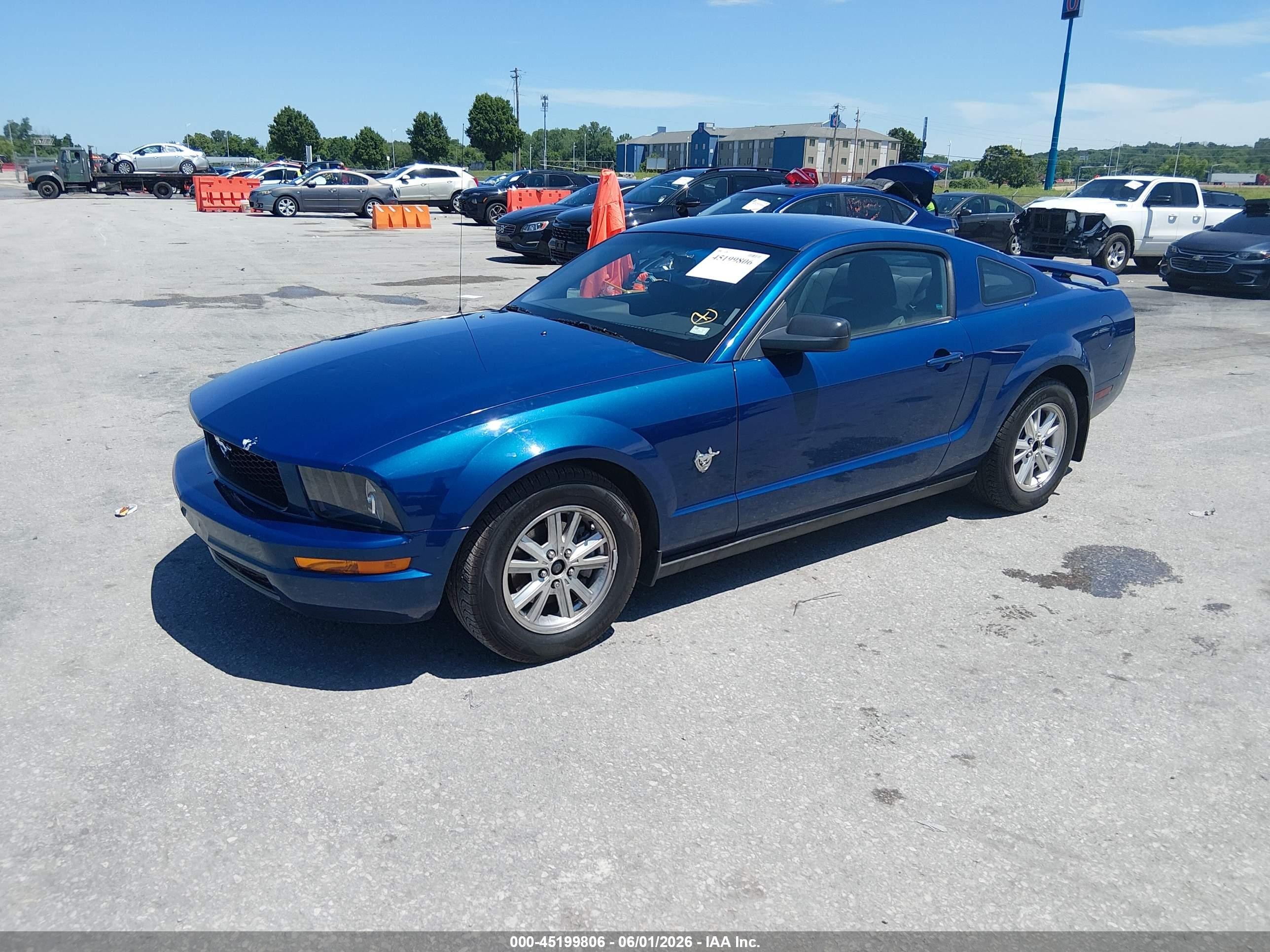 2009 Ford Mustang V6/v6 Premium Синий vin: 1ZVHT80NX95141904