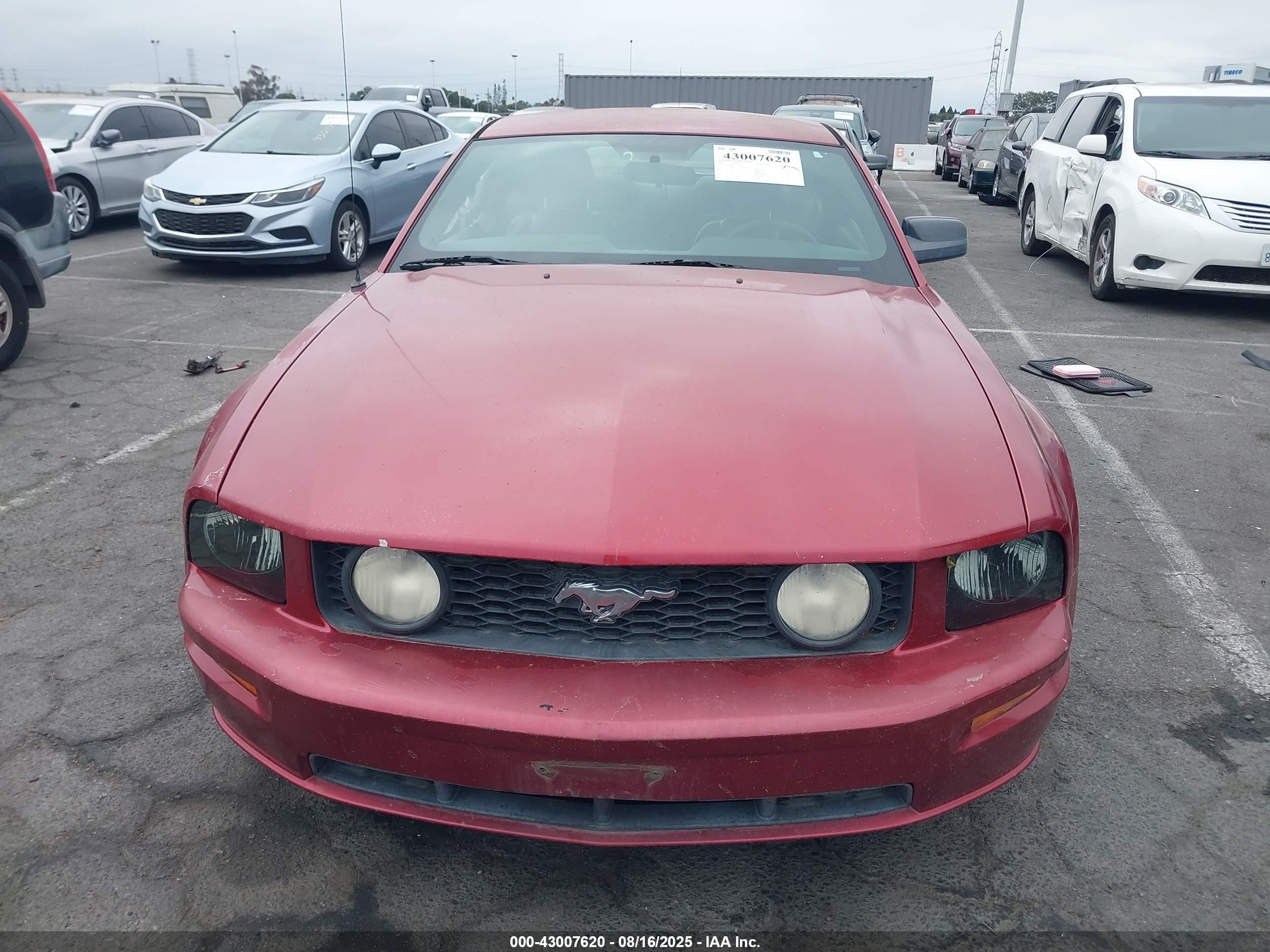 2006 Ford Mustang Gt Красный vin: 1ZVHT82H065161288