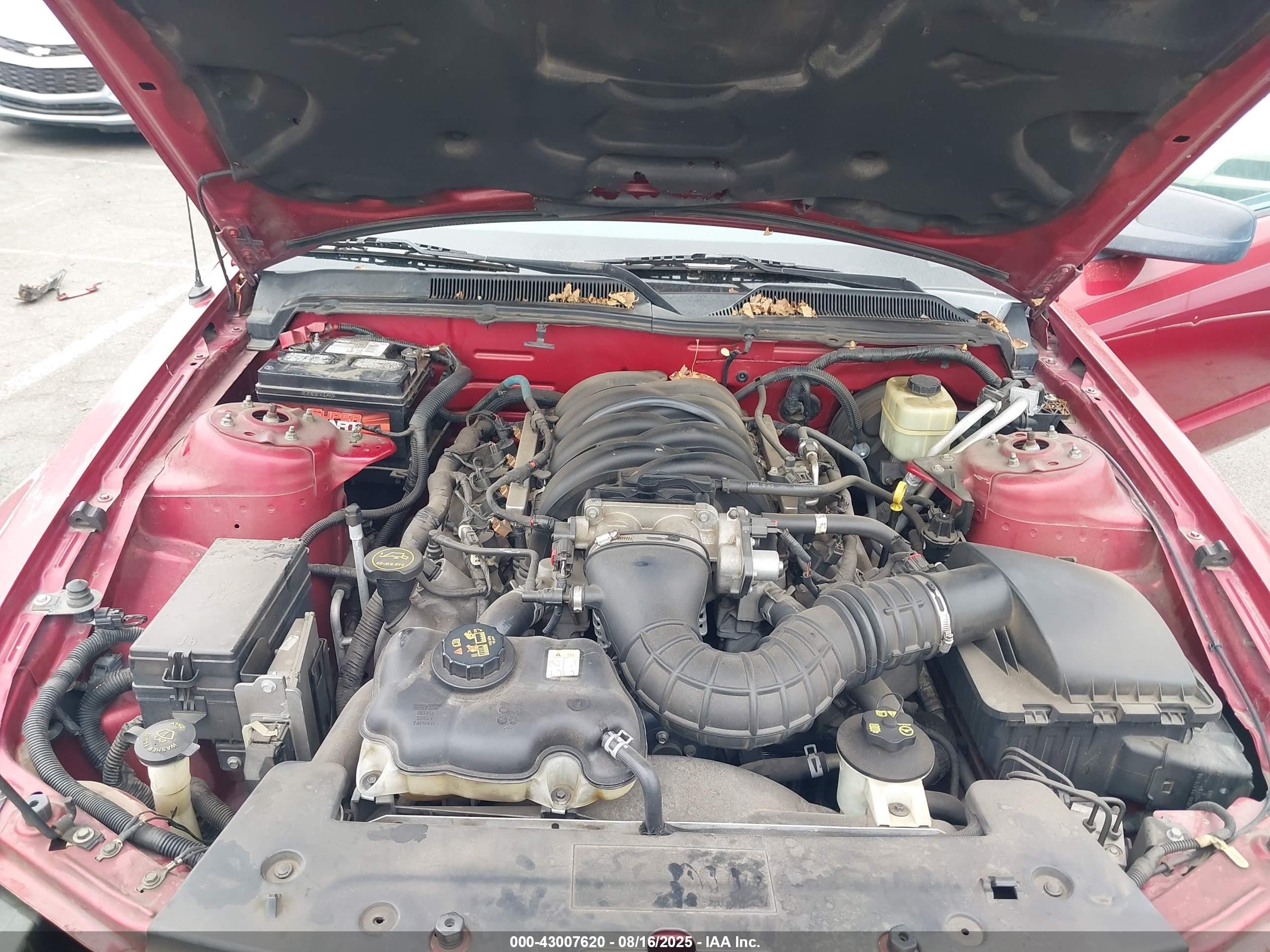 2006 Ford Mustang Gt Красный vin: 1ZVHT82H065161288