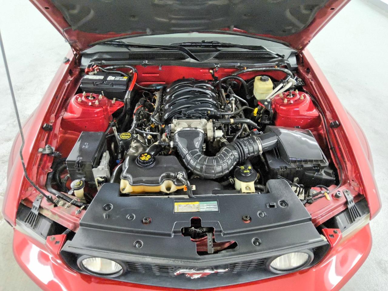 2006 Ford Mustang Gt Red vin: 1ZVHT82H065168788