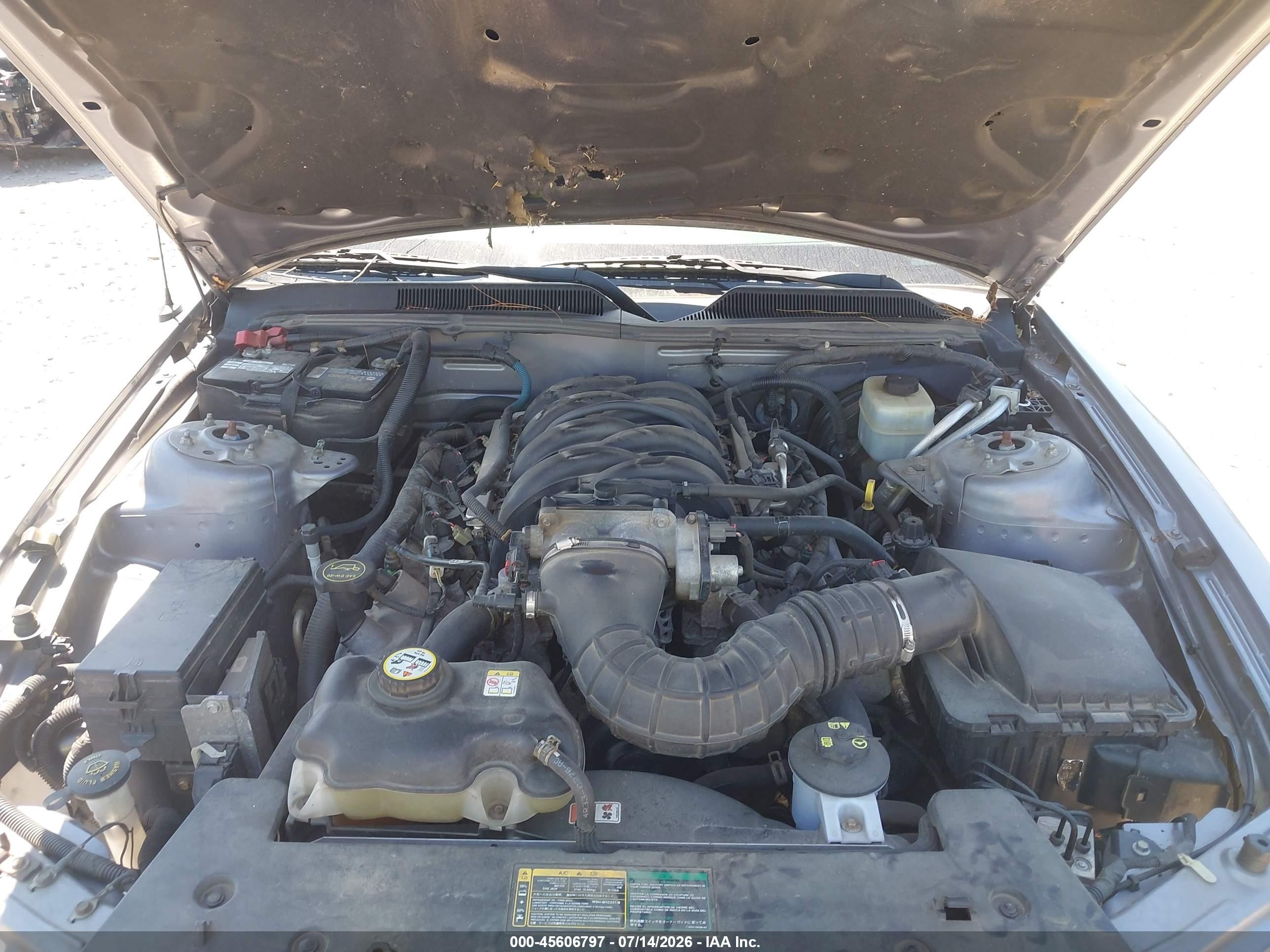 2006 Ford Mustang Gt Серый vin: 1ZVHT82H065222476