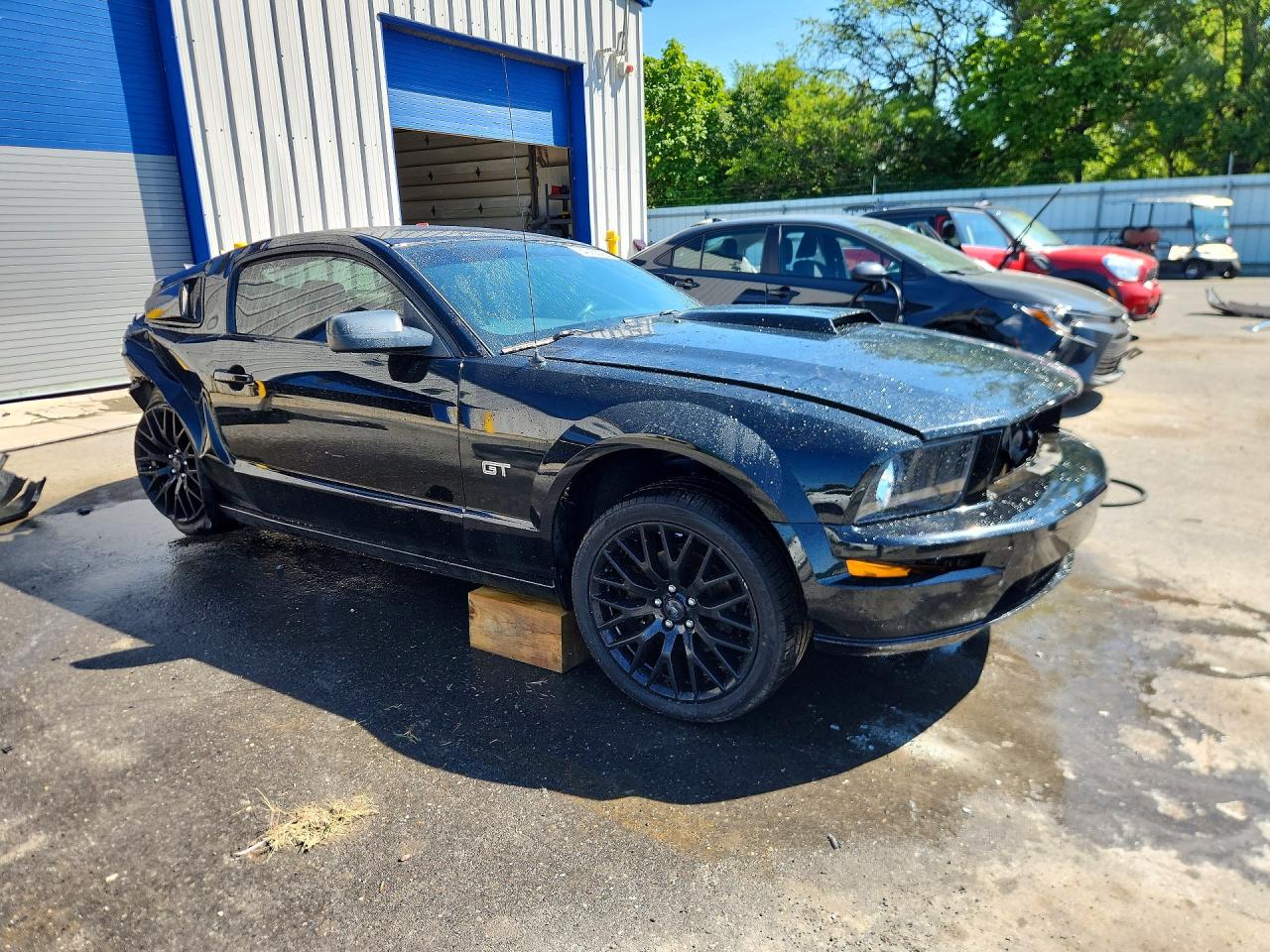 2006 Ford Mustang Gt Черный vin: 1ZVHT82H065261732