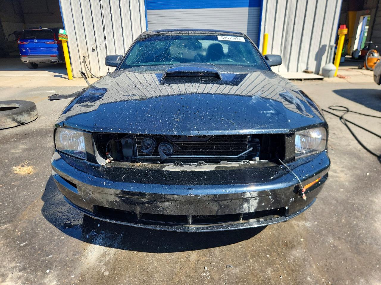 2006 Ford Mustang Gt Черный vin: 1ZVHT82H065261732