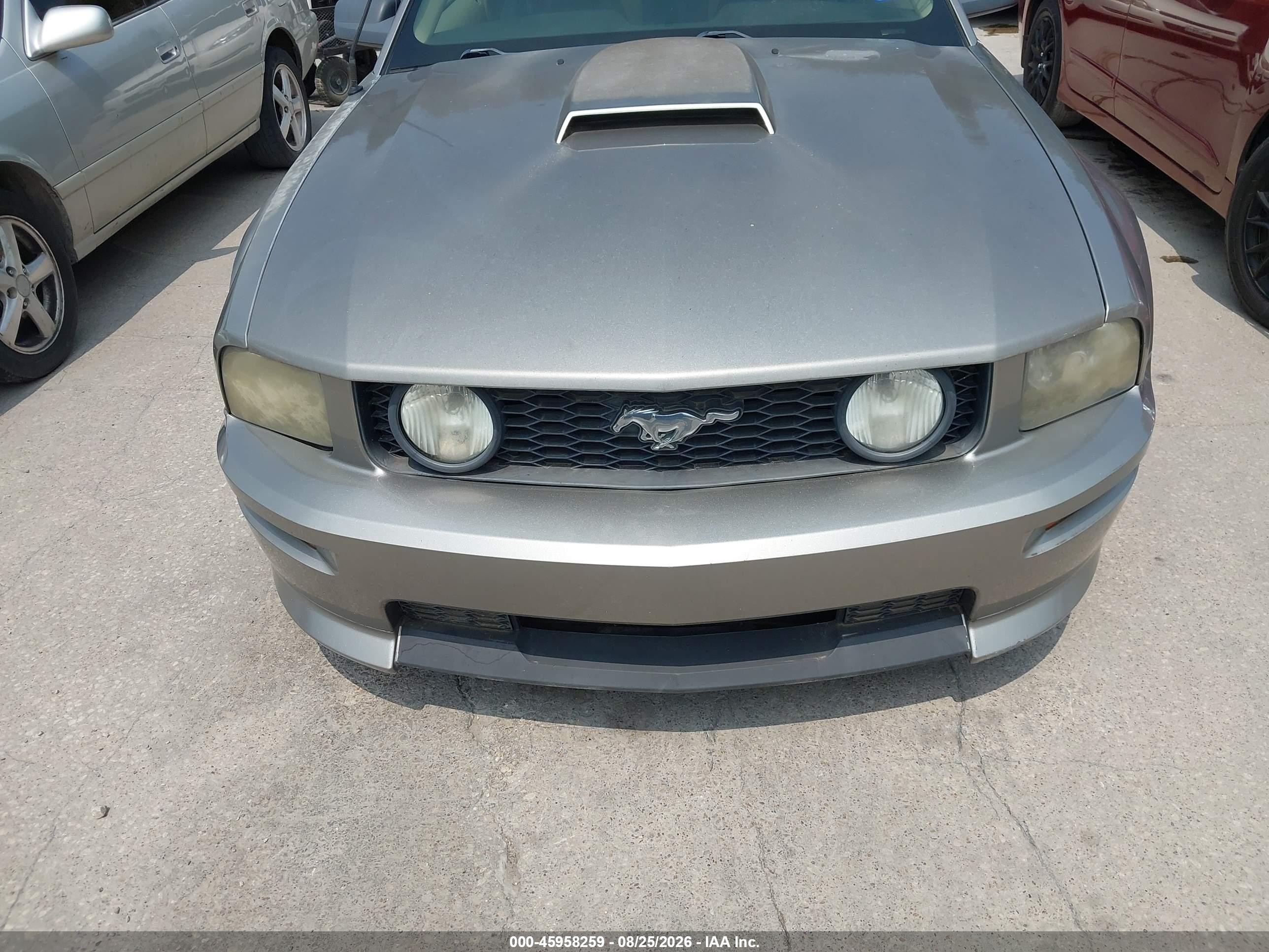 2009 Ford Mustang Gt/gt Premium Silver vin: 1ZVHT82H095102858