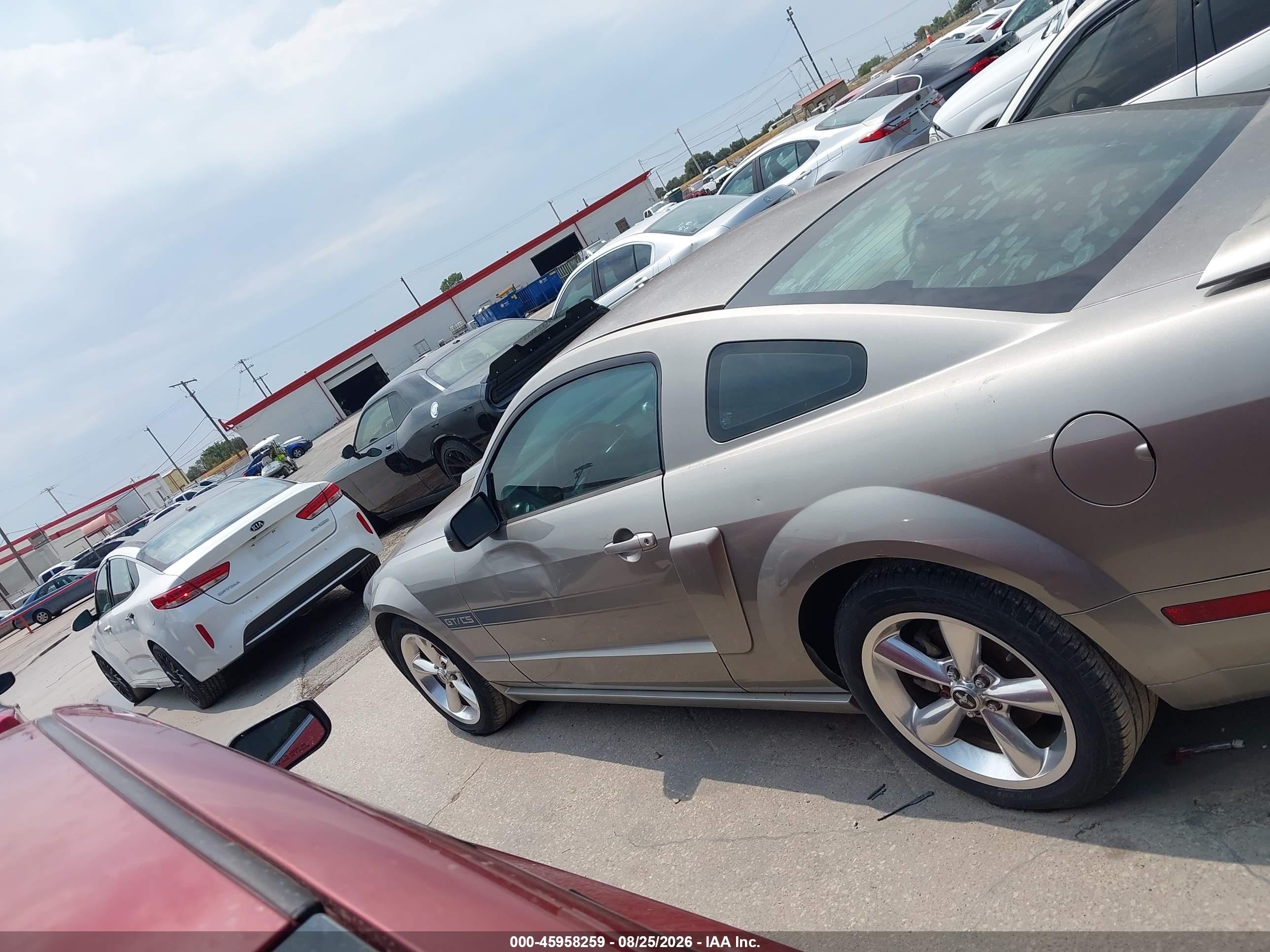 2009 Ford Mustang Gt/gt Premium Silver vin: 1ZVHT82H095102858