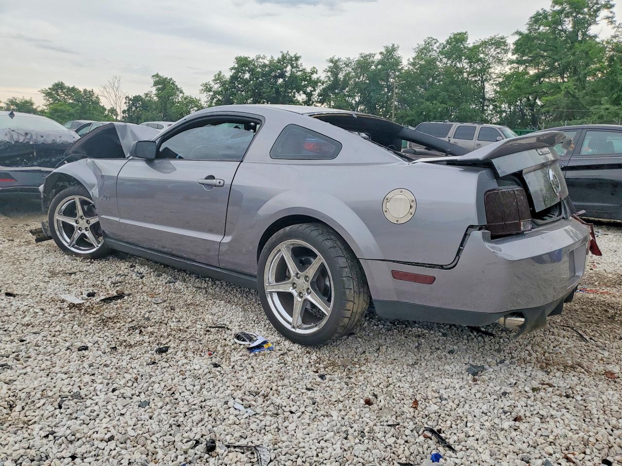 2006 Ford Mustang Gt Gray vin: 1ZVHT82H165140451