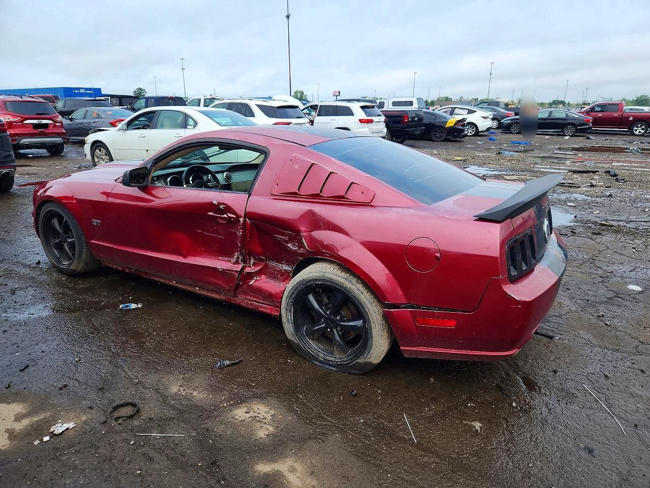 2006 Ford Mustang Gt Темно-бордовый vin: 1ZVHT82H165171814