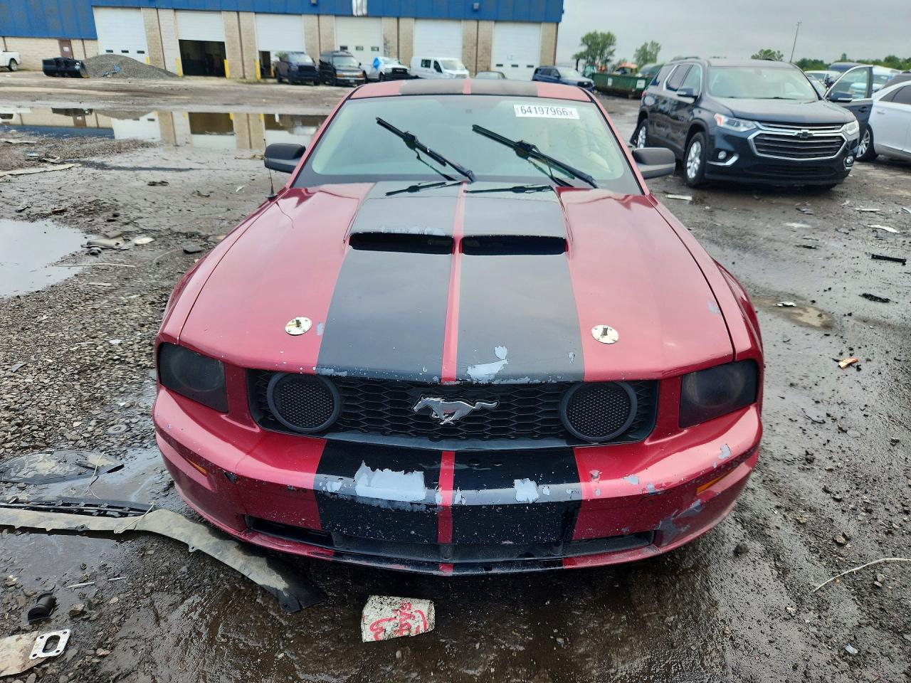 2006 Ford Mustang Gt Темно-бордовый vin: 1ZVHT82H165171814