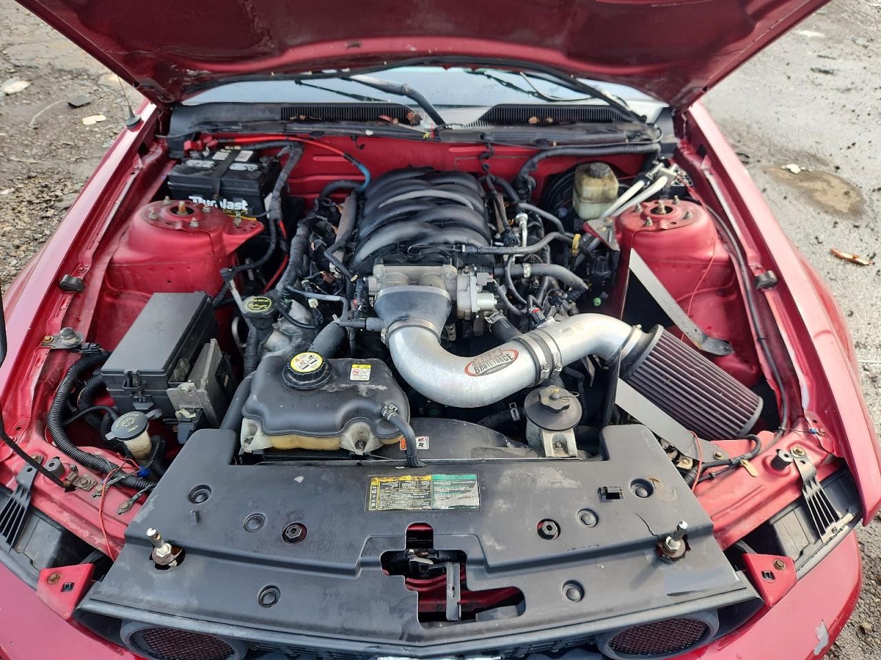 2006 Ford Mustang Gt Темно-бордовый vin: 1ZVHT82H165171814