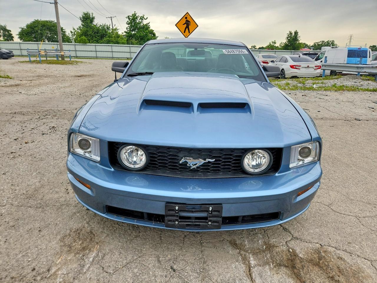 2006 Ford Mustang Gt Синий vin: 1ZVHT82H165190752