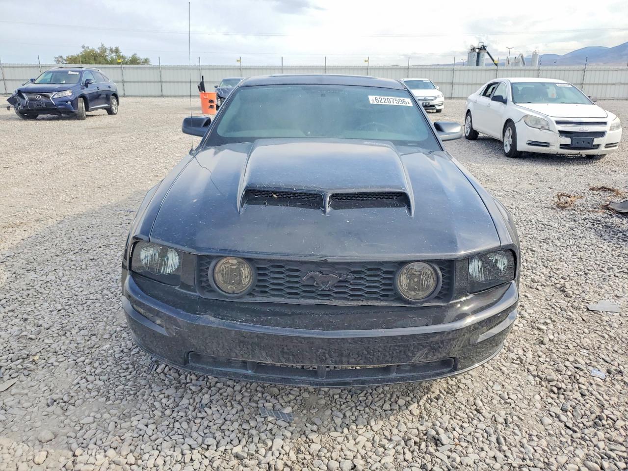 2006 Ford Mustang Gt Black vin: 1ZVHT82H165257785