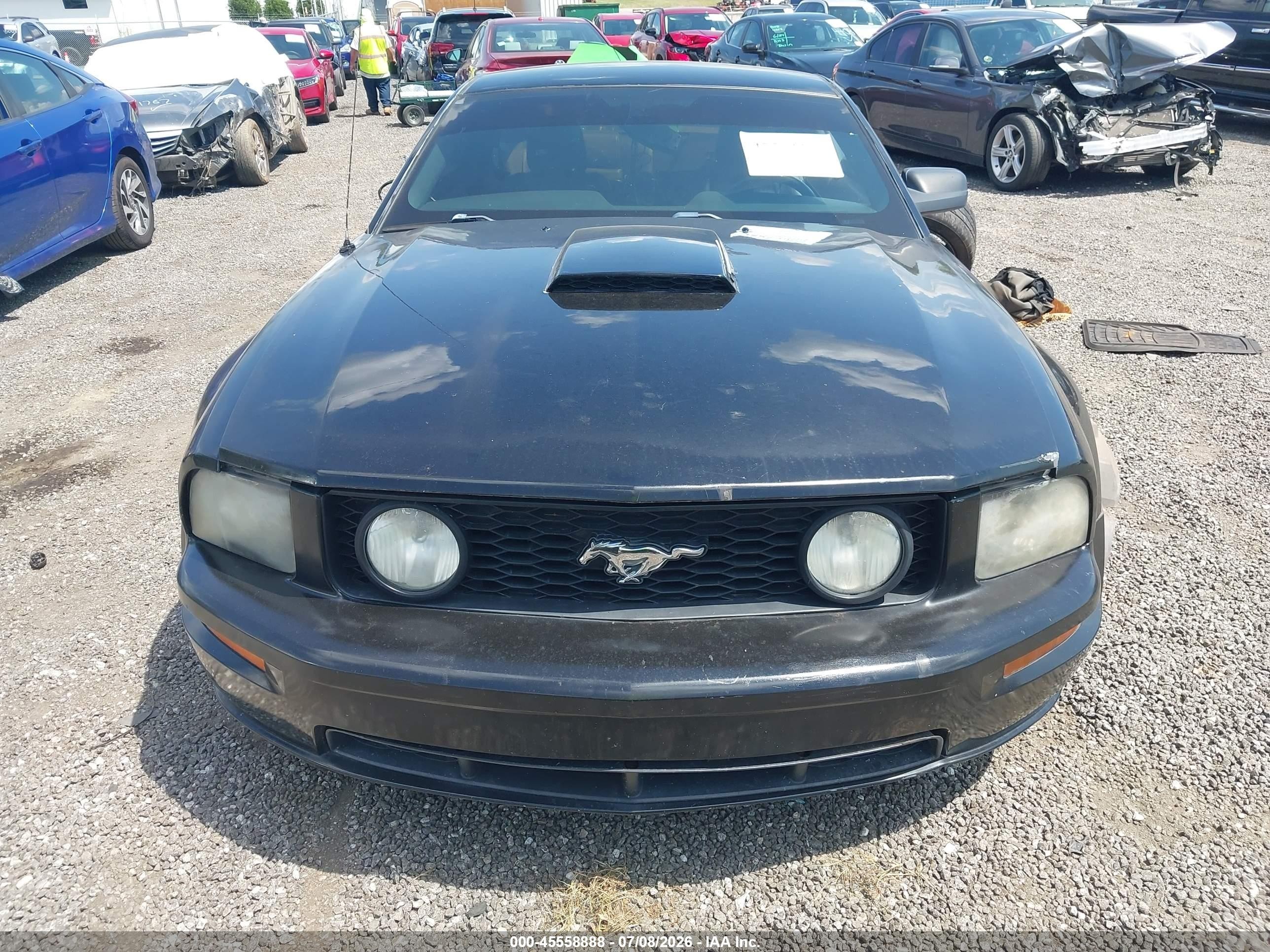 2008 Ford Mustang Gt Deluxe/gt Premium Black vin: 1ZVHT82H185169919