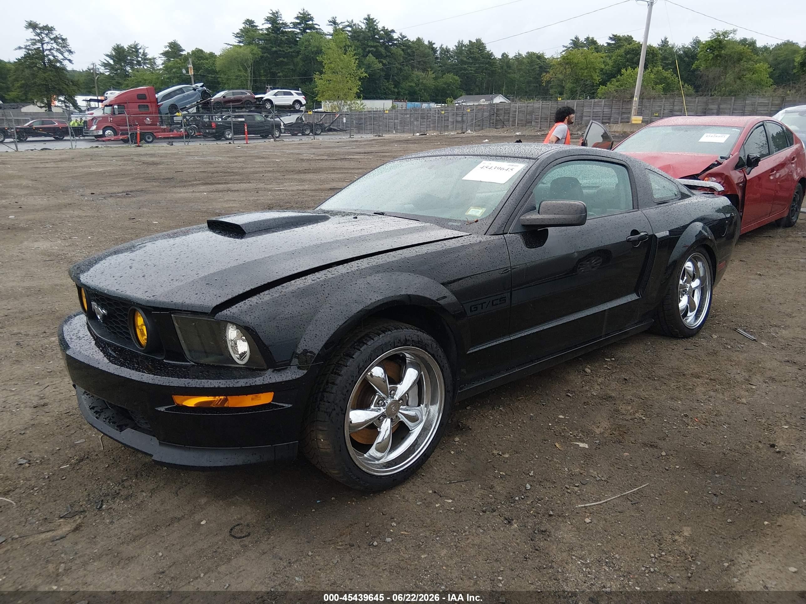 2008 Ford Mustang Gt Deluxe/gt Premium Black vin: 1ZVHT82H185189300