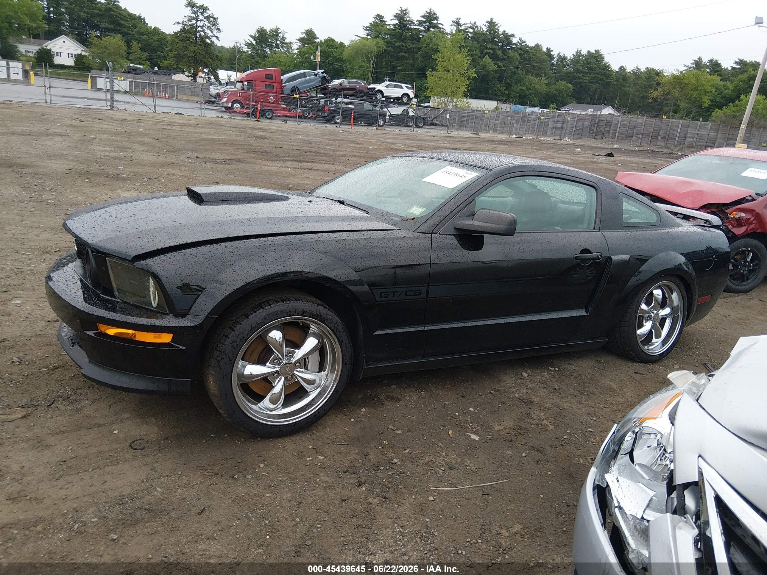 2008 Ford Mustang Gt Deluxe/gt Premium Black vin: 1ZVHT82H185189300