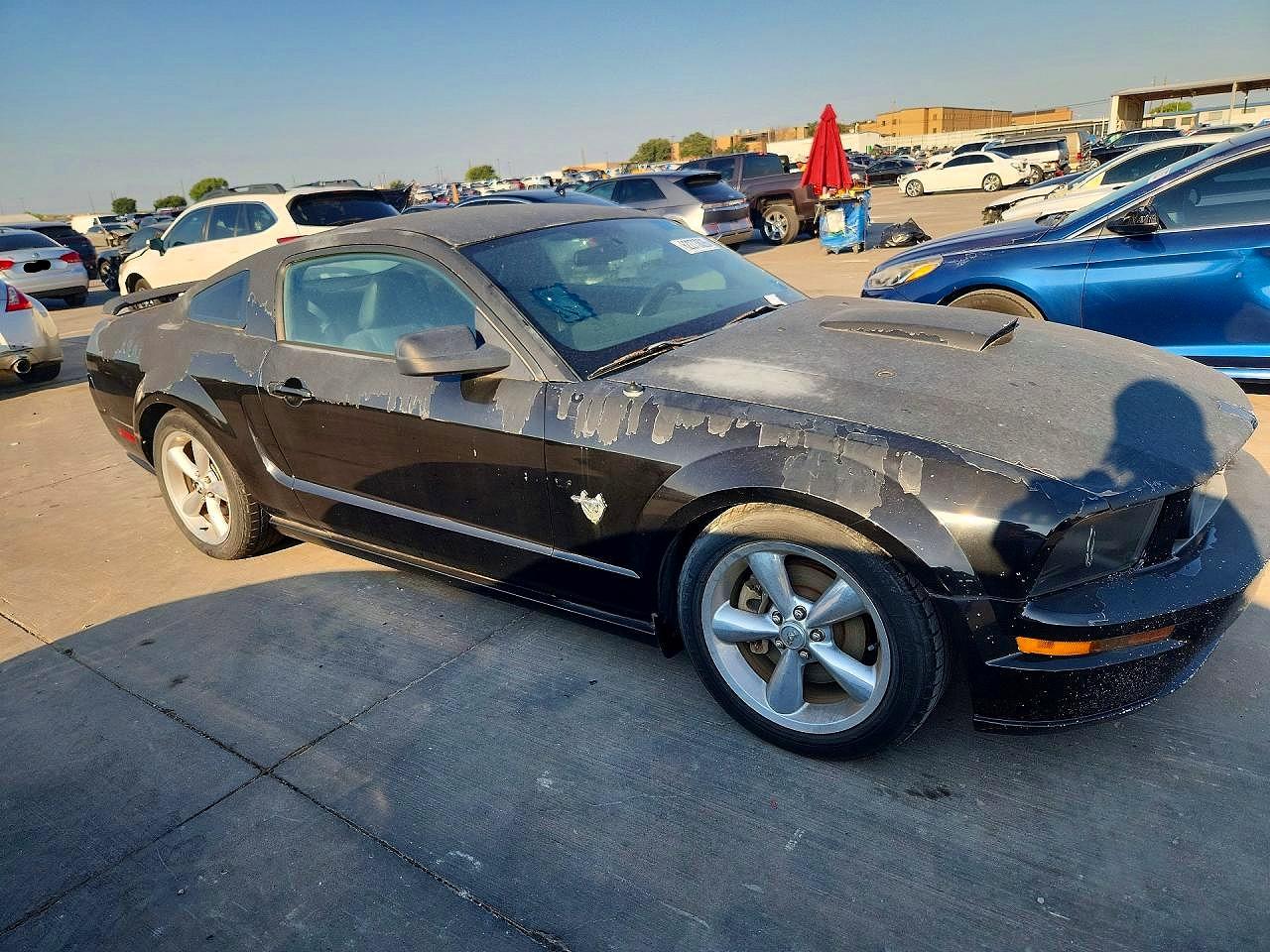2009 Ford Mustang Gt Black vin: 1ZVHT82H195102397