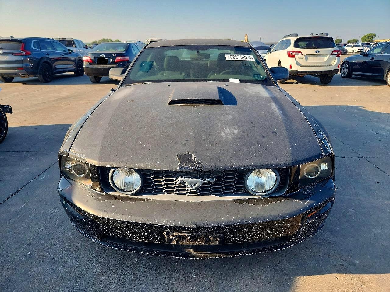 2009 Ford Mustang Gt Black vin: 1ZVHT82H195102397