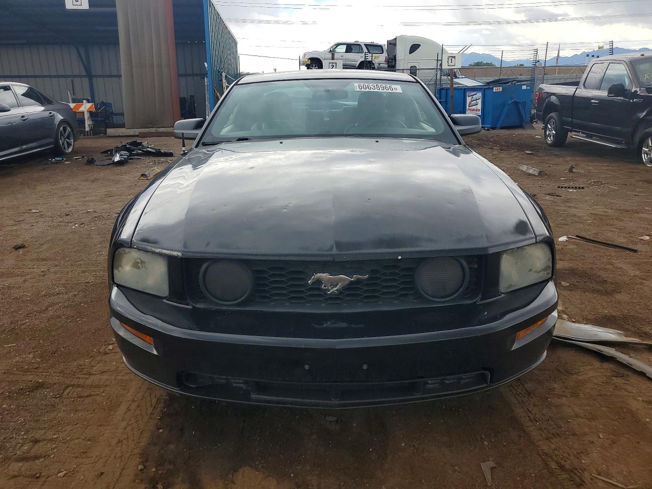 2006 Ford Mustang Gt Black vin: 1ZVHT82H265160384