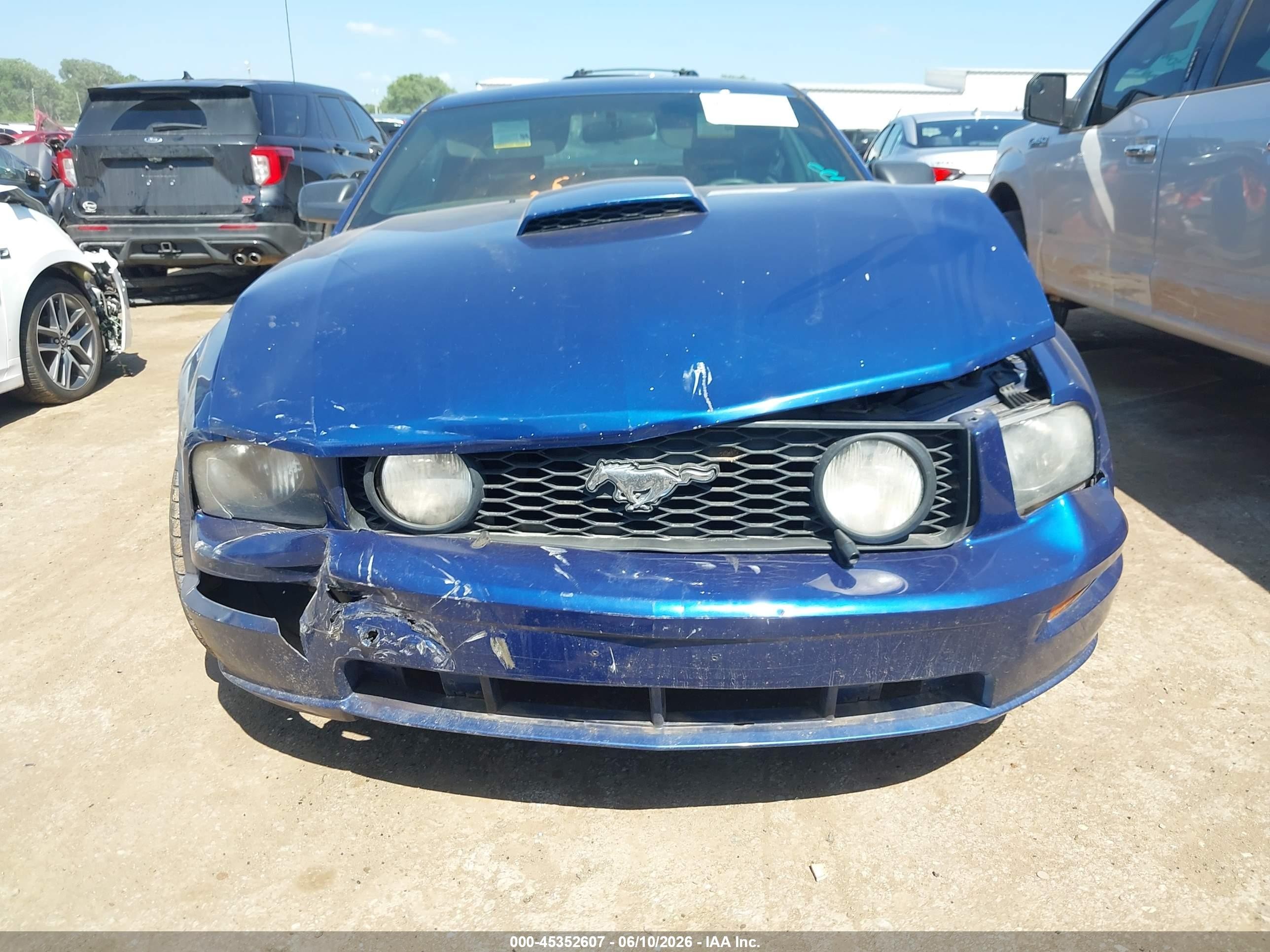 2008 Ford Mustang Gt Deluxe/gt Premium Синий vin: 1ZVHT82H285114668