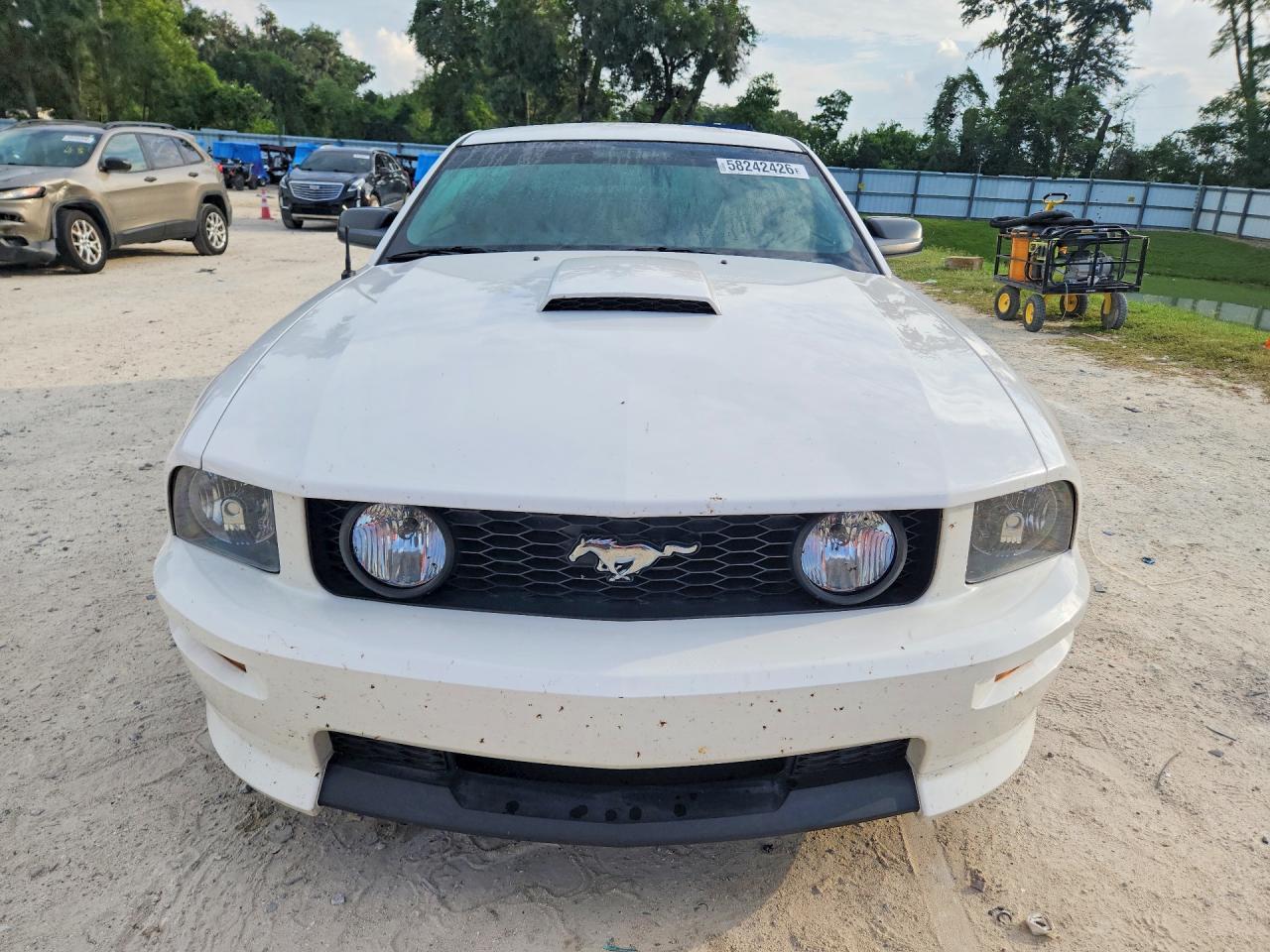 2008 Ford Mustang Gt White vin: 1ZVHT82H285148772