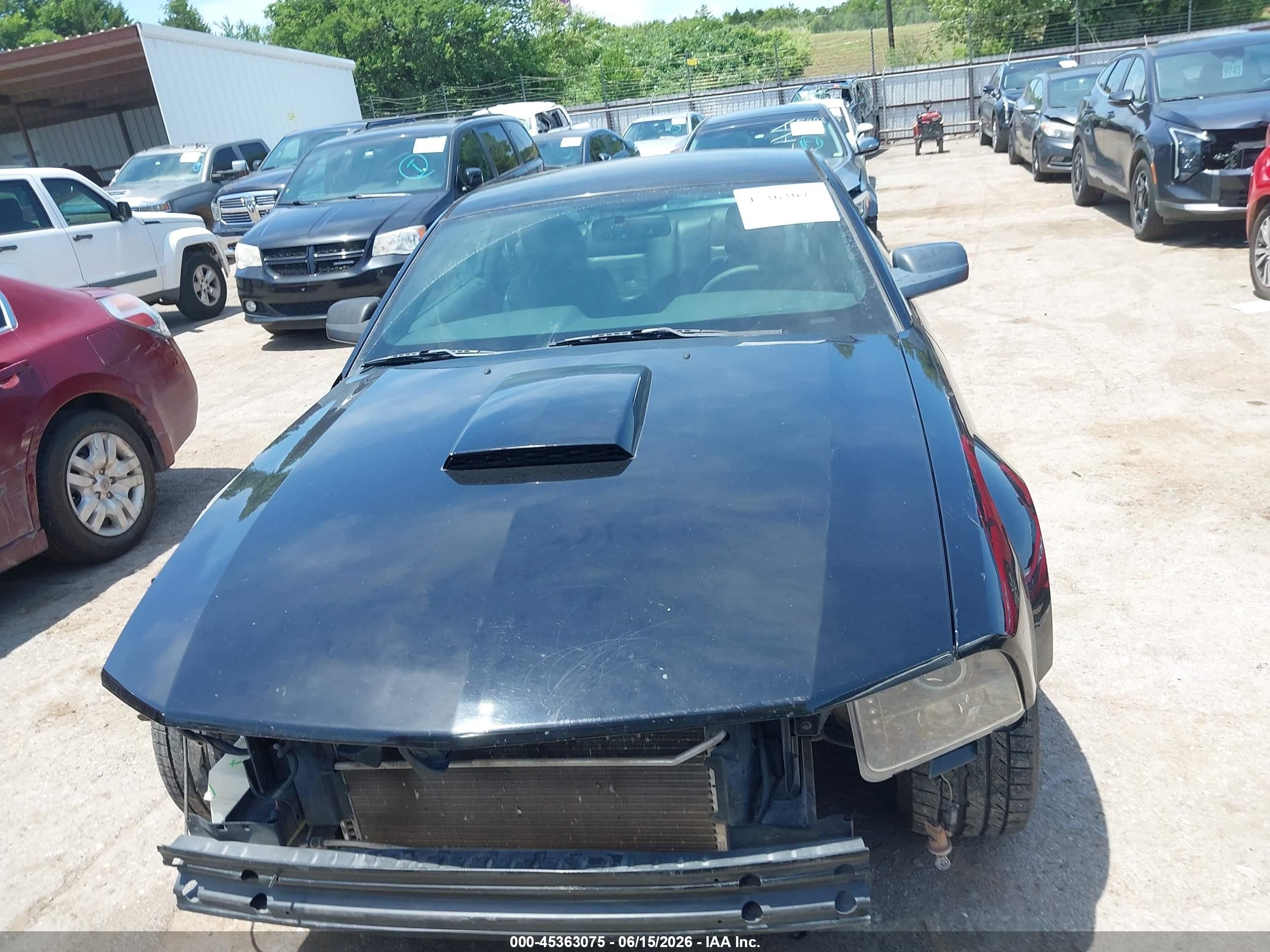 2008 Ford Mustang Gt Deluxe/gt Premium Black vin: 1ZVHT82H285160274
