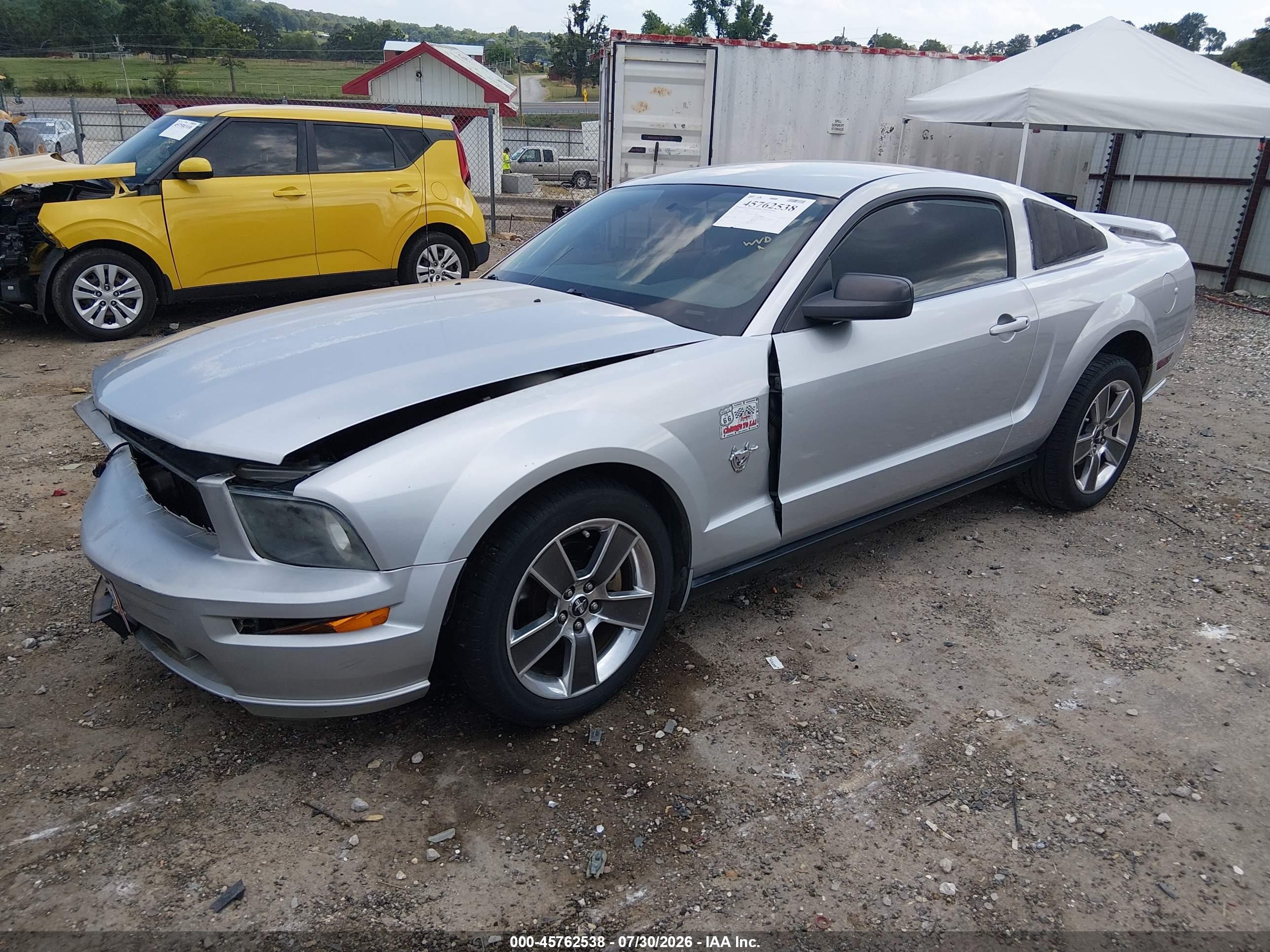 2009 Ford Mustang Gt/gt Premium Gray vin: 1ZVHT82H295119905
