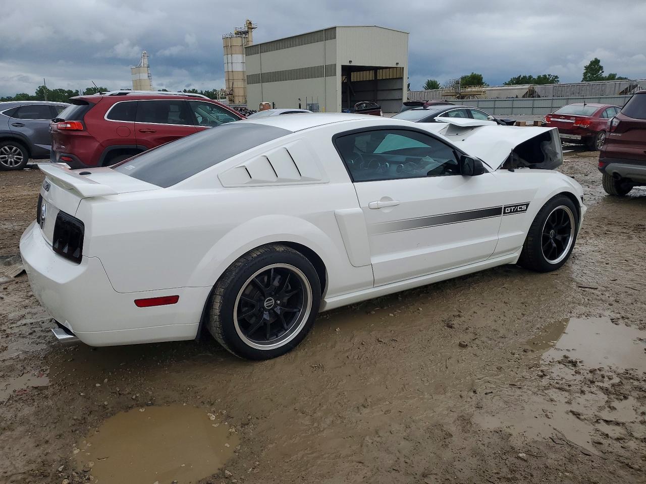 2009 Ford Mustang Gt White vin: 1ZVHT82H295128815
