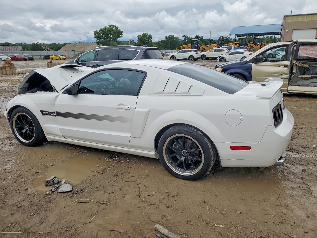 2009 Ford Mustang Gt White vin: 1ZVHT82H295128815