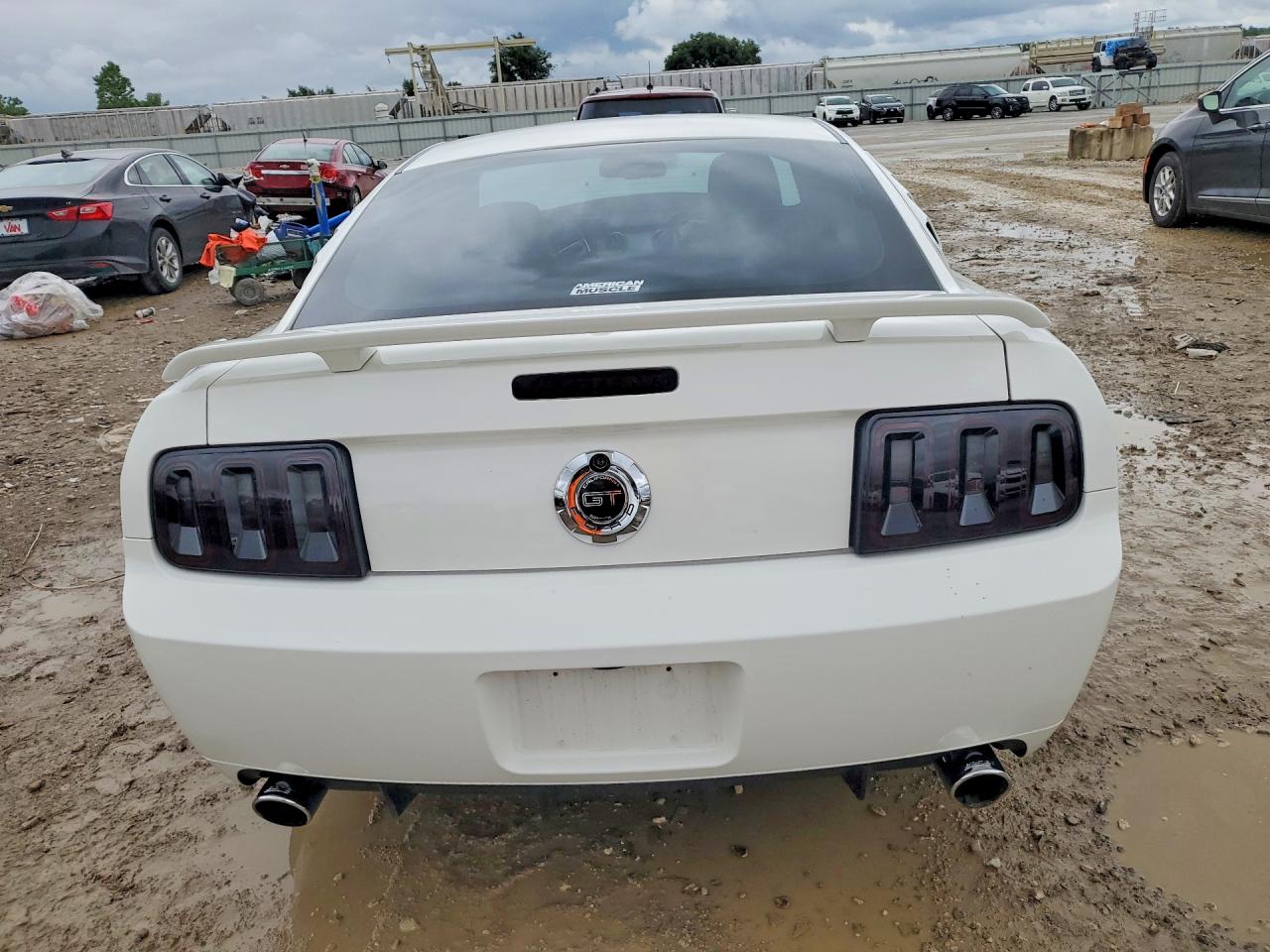 2009 Ford Mustang Gt White vin: 1ZVHT82H295128815