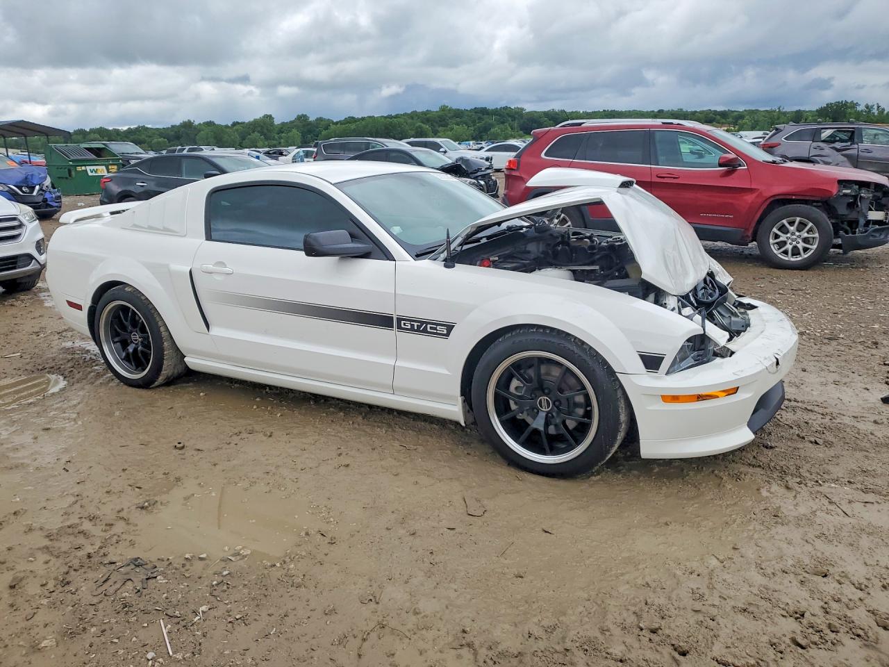 2009 Ford Mustang Gt White vin: 1ZVHT82H295128815