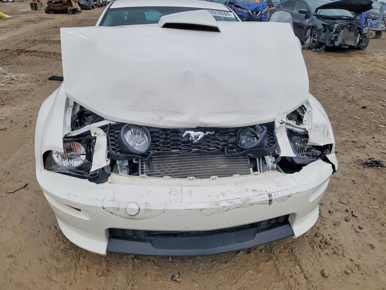 2009 Ford Mustang Gt White vin: 1ZVHT82H295128815