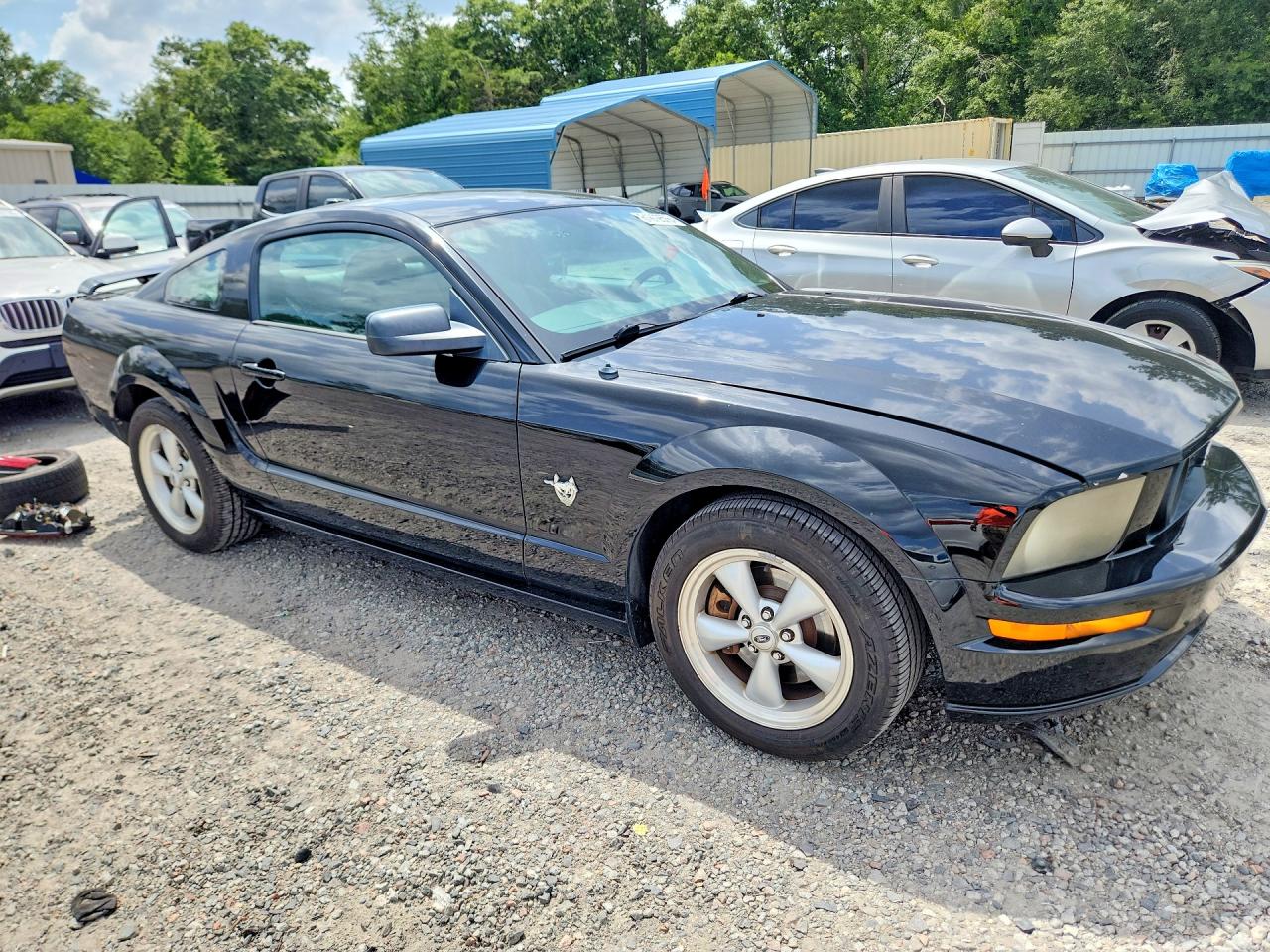 2009 Ford Mustang Gt Black vin: 1ZVHT82H295128989