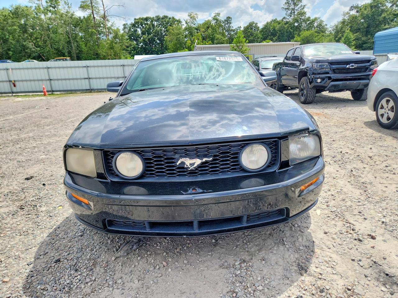 2009 Ford Mustang Gt Black vin: 1ZVHT82H295128989