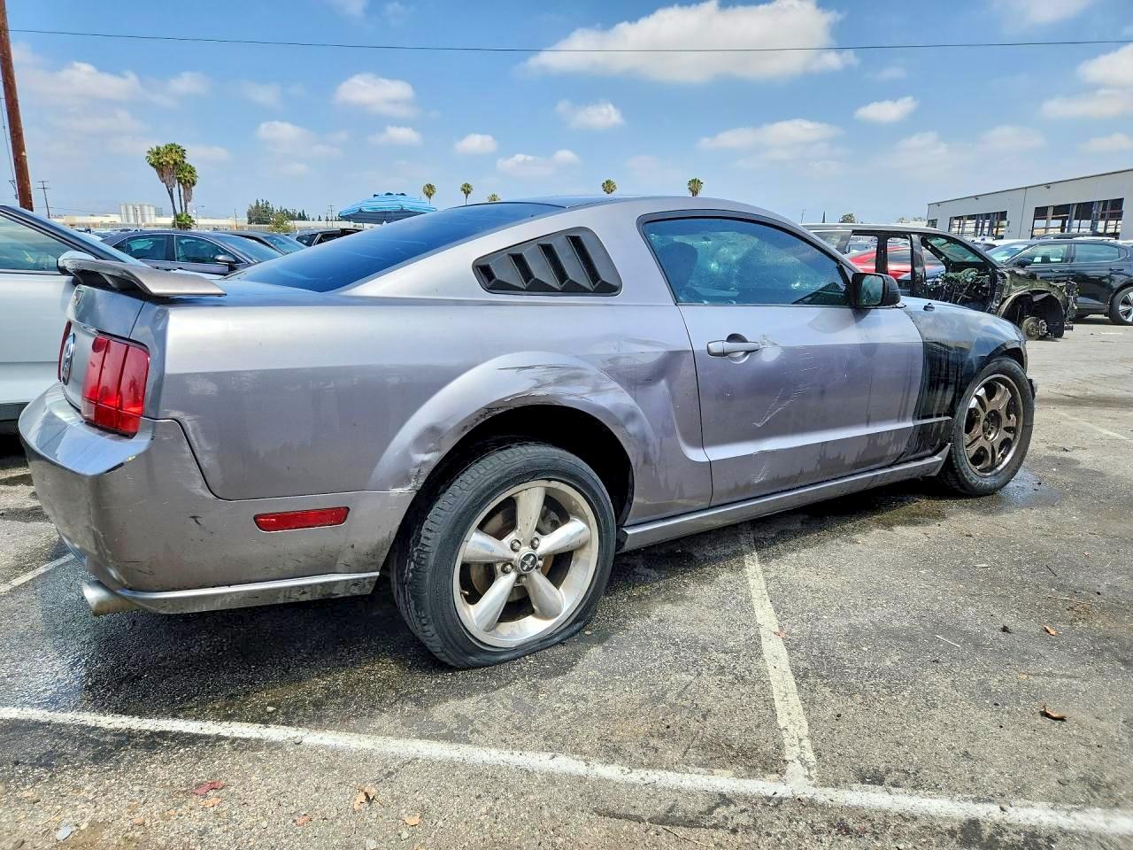 2006 Ford Mustang Gt Silver vin: 1ZVHT82H365163813