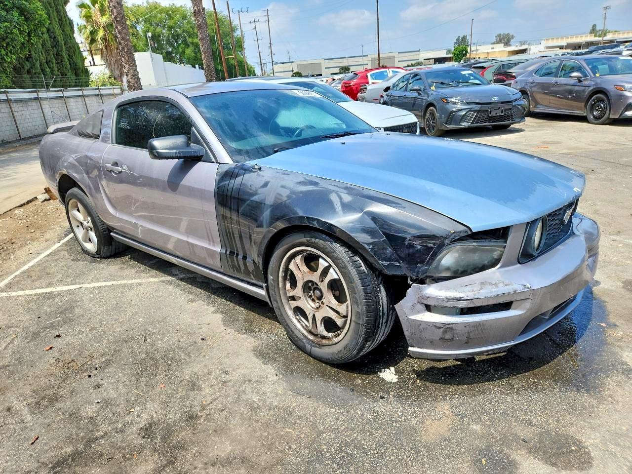 2006 Ford Mustang Gt Silver vin: 1ZVHT82H365163813