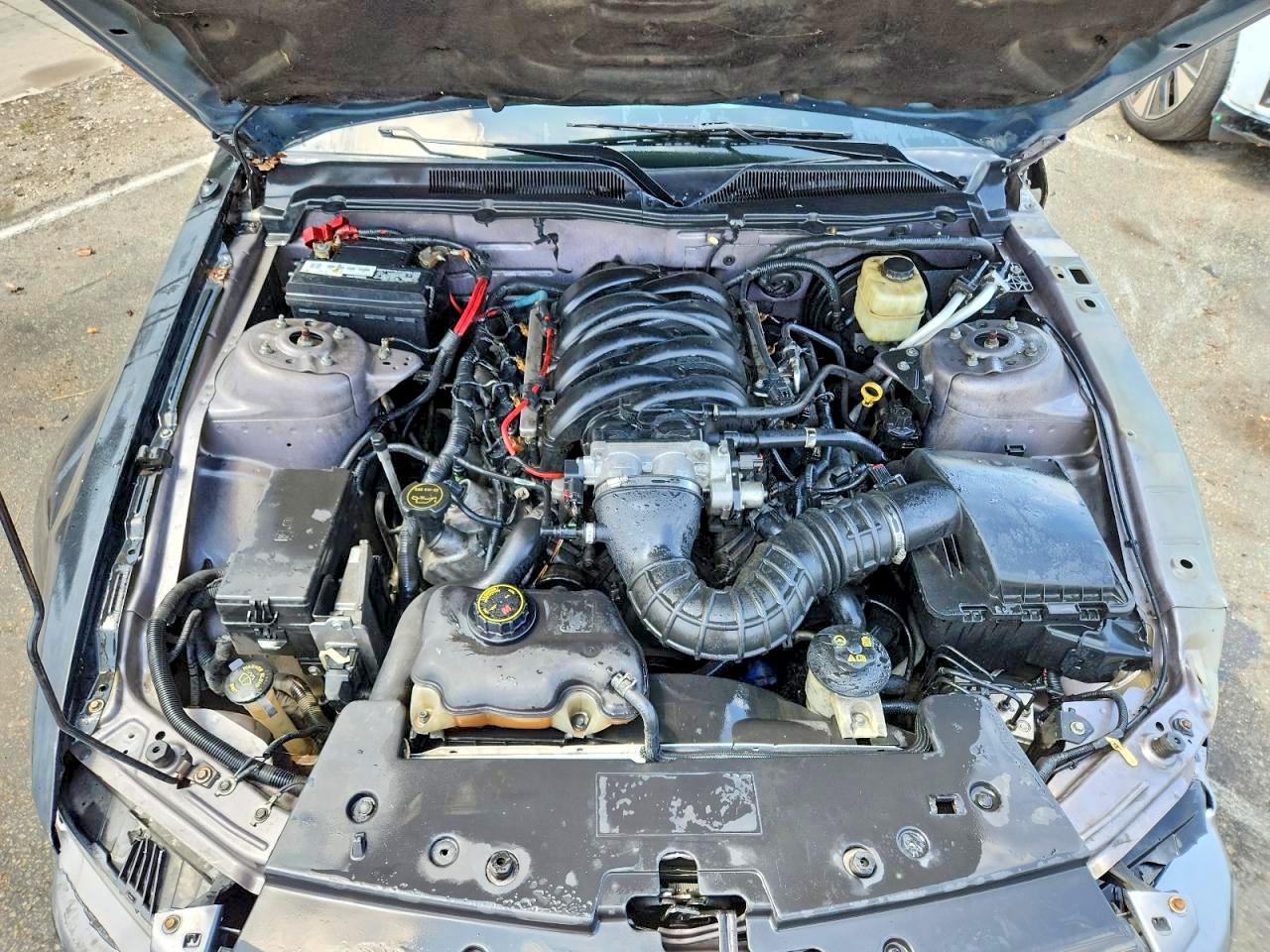 2006 Ford Mustang Gt Silver vin: 1ZVHT82H365163813