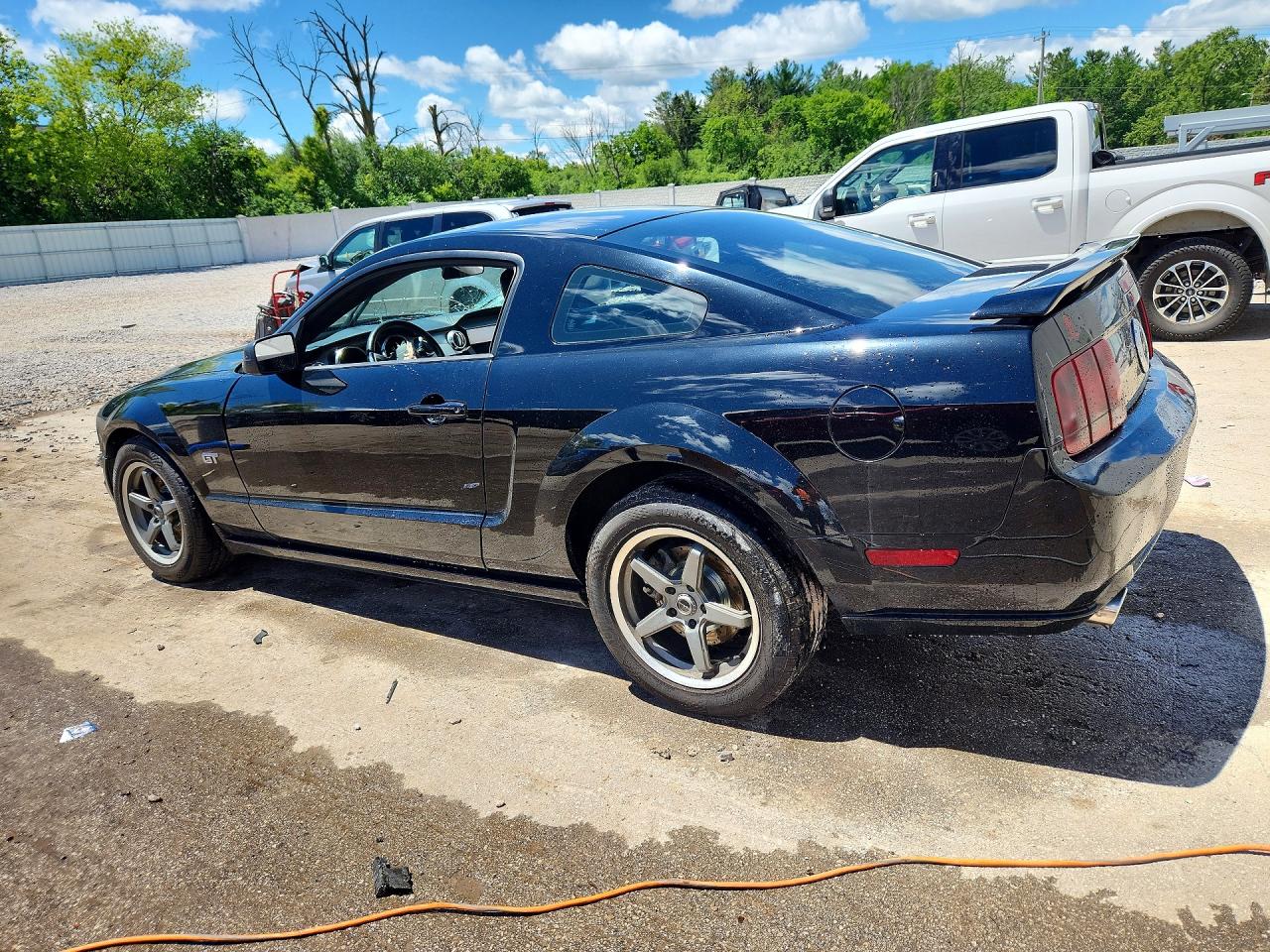 2006 Ford Mustang Gt Black vin: 1ZVHT82H365228269