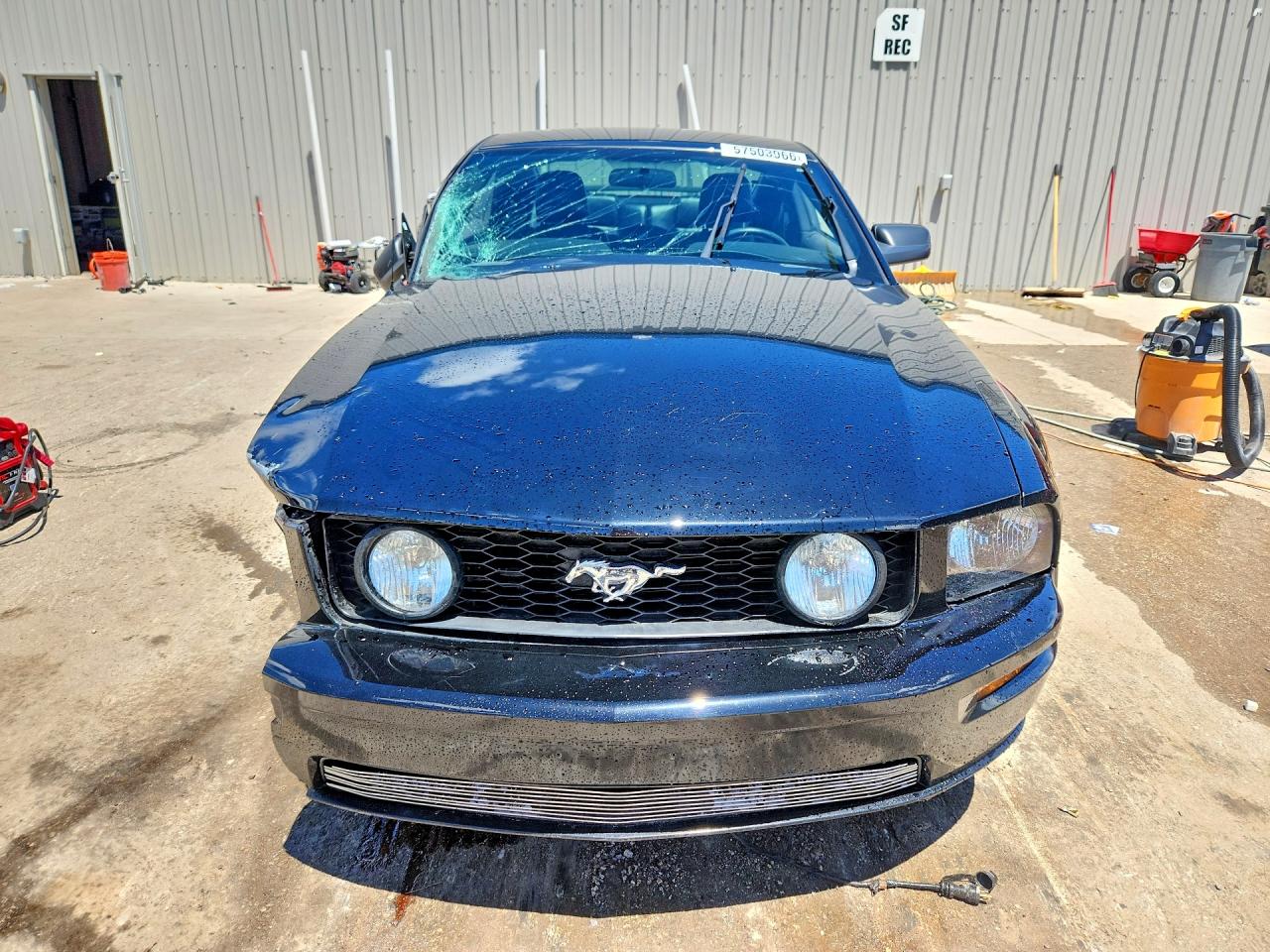 2006 Ford Mustang Gt Black vin: 1ZVHT82H365228269