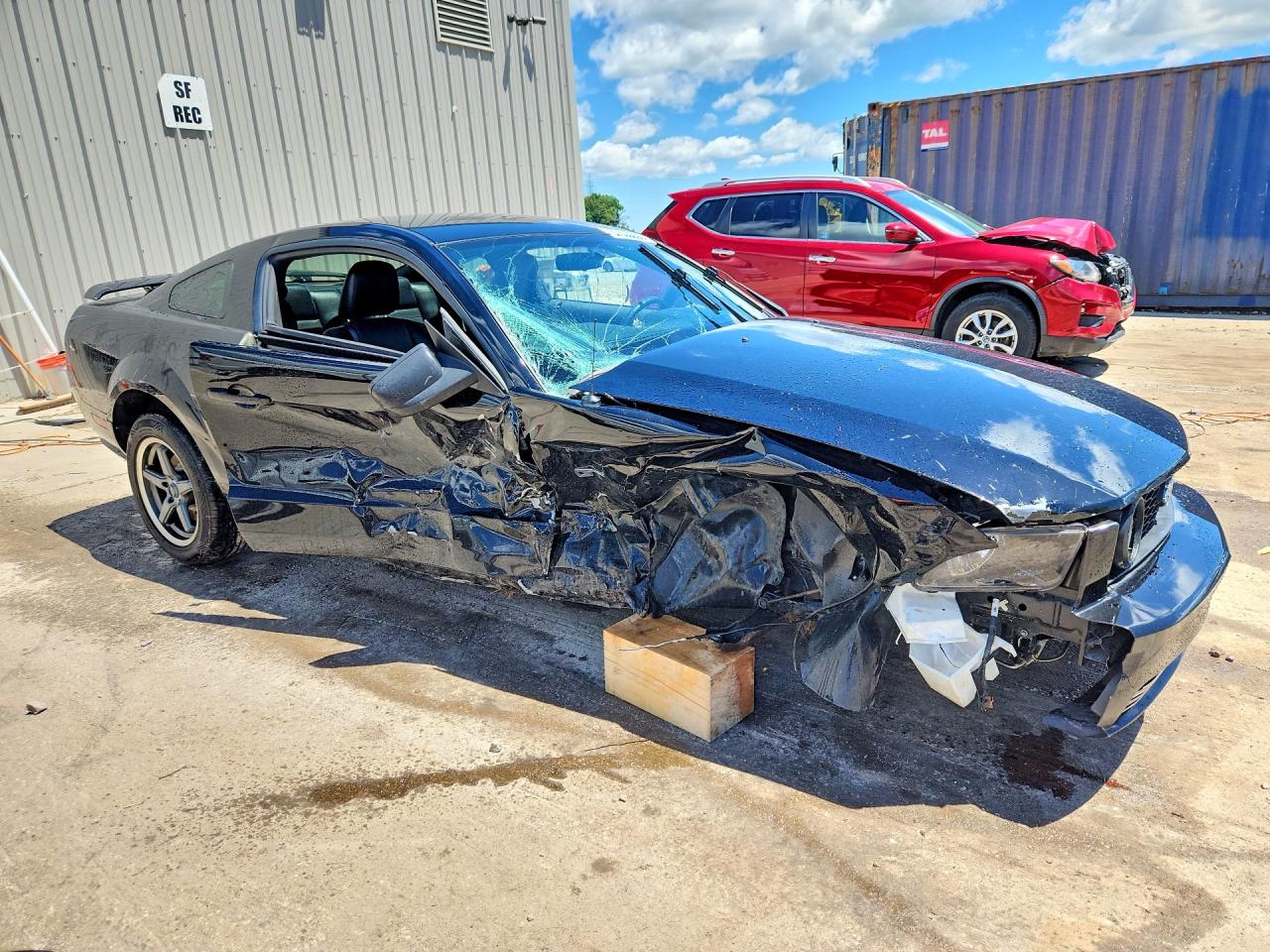 2006 Ford Mustang Gt Black vin: 1ZVHT82H365228269