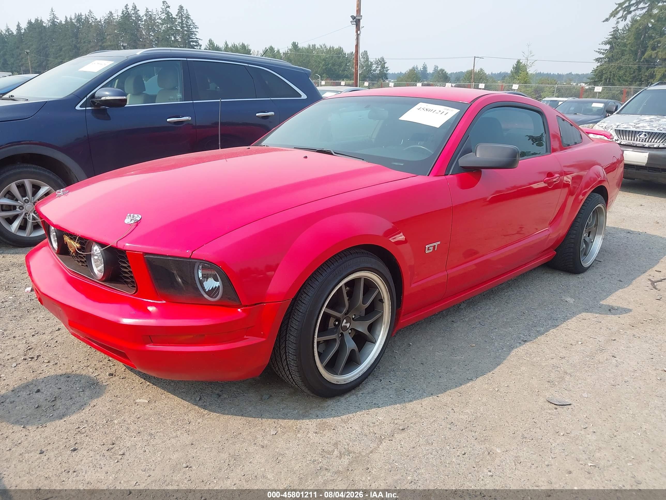 2006 Ford Mustang Gt Red vin: 1ZVHT82H365228708