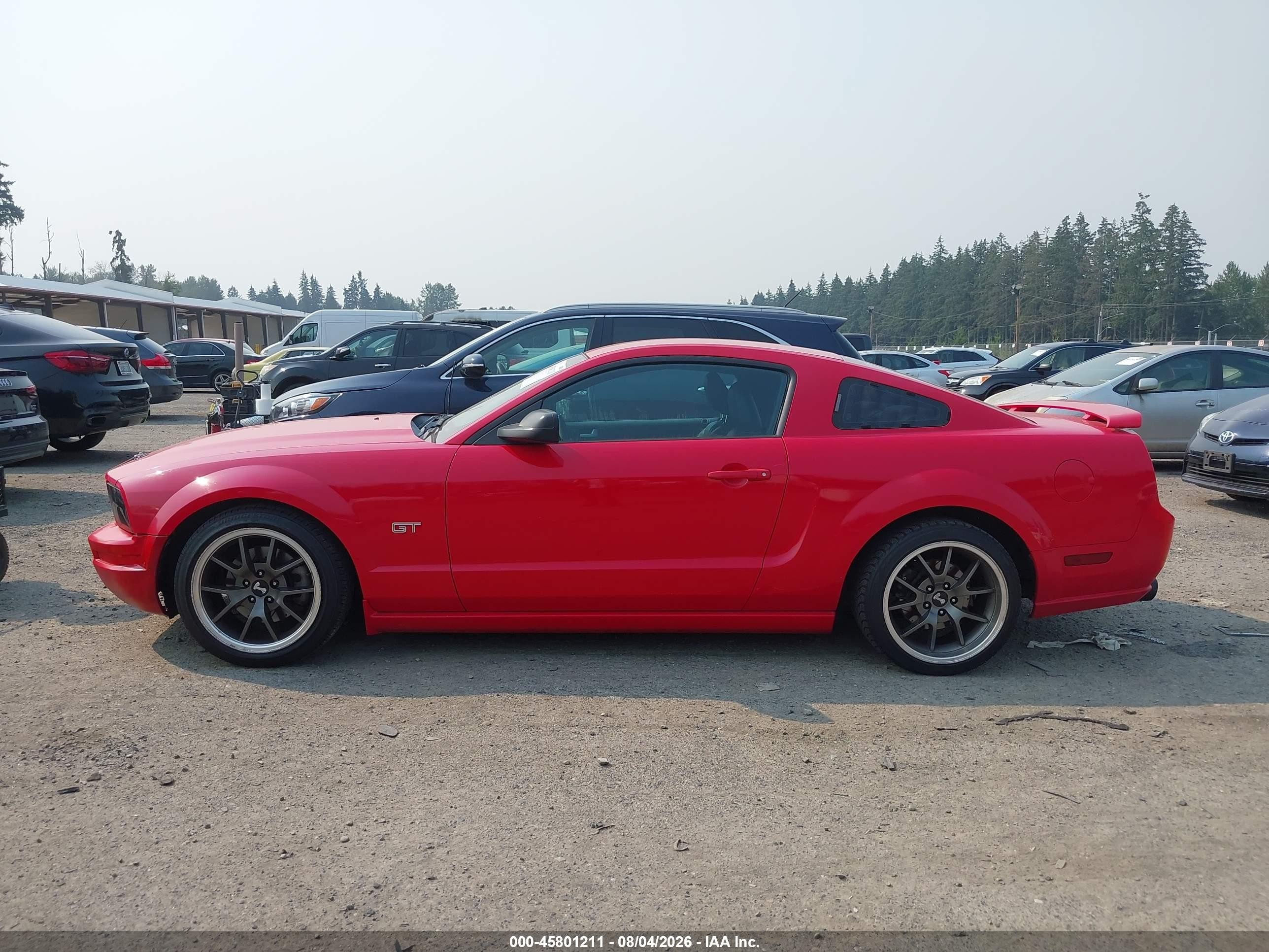 2006 Ford Mustang Gt Red vin: 1ZVHT82H365228708