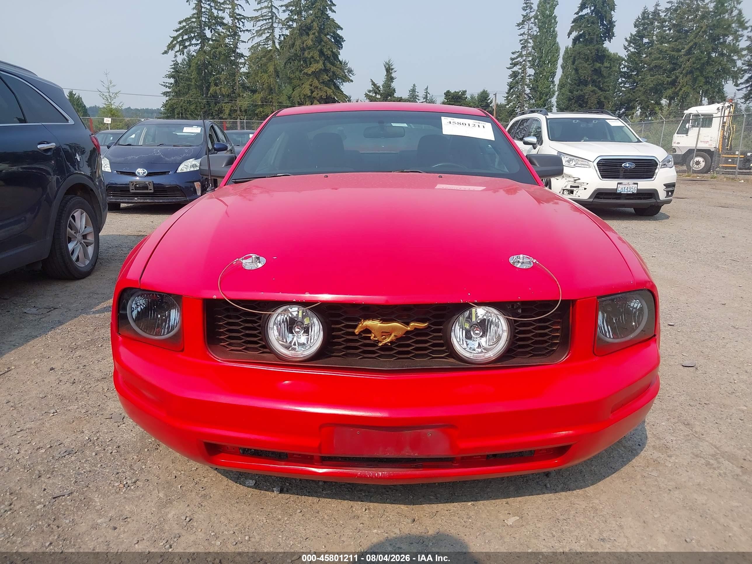 2006 Ford Mustang Gt Red vin: 1ZVHT82H365228708
