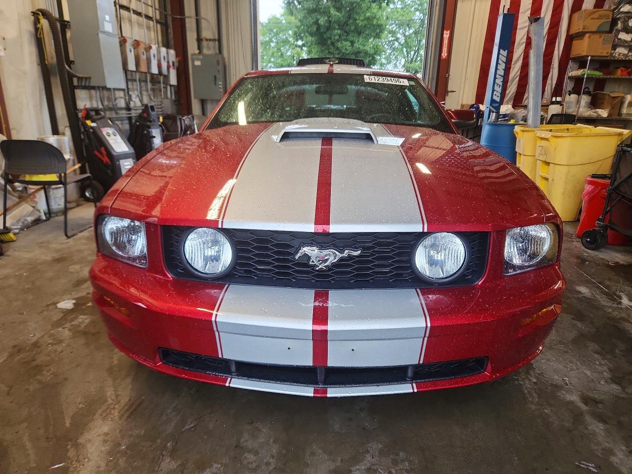 2006 Ford Mustang Gt Maroon vin: 1ZVHT82H365245573