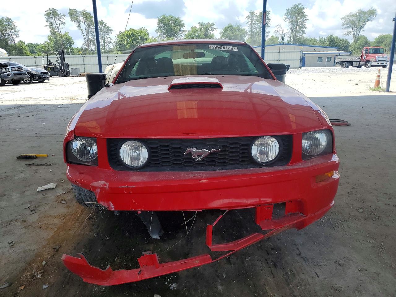 2008 Ford Mustang Gt Red vin: 1ZVHT82H385156962