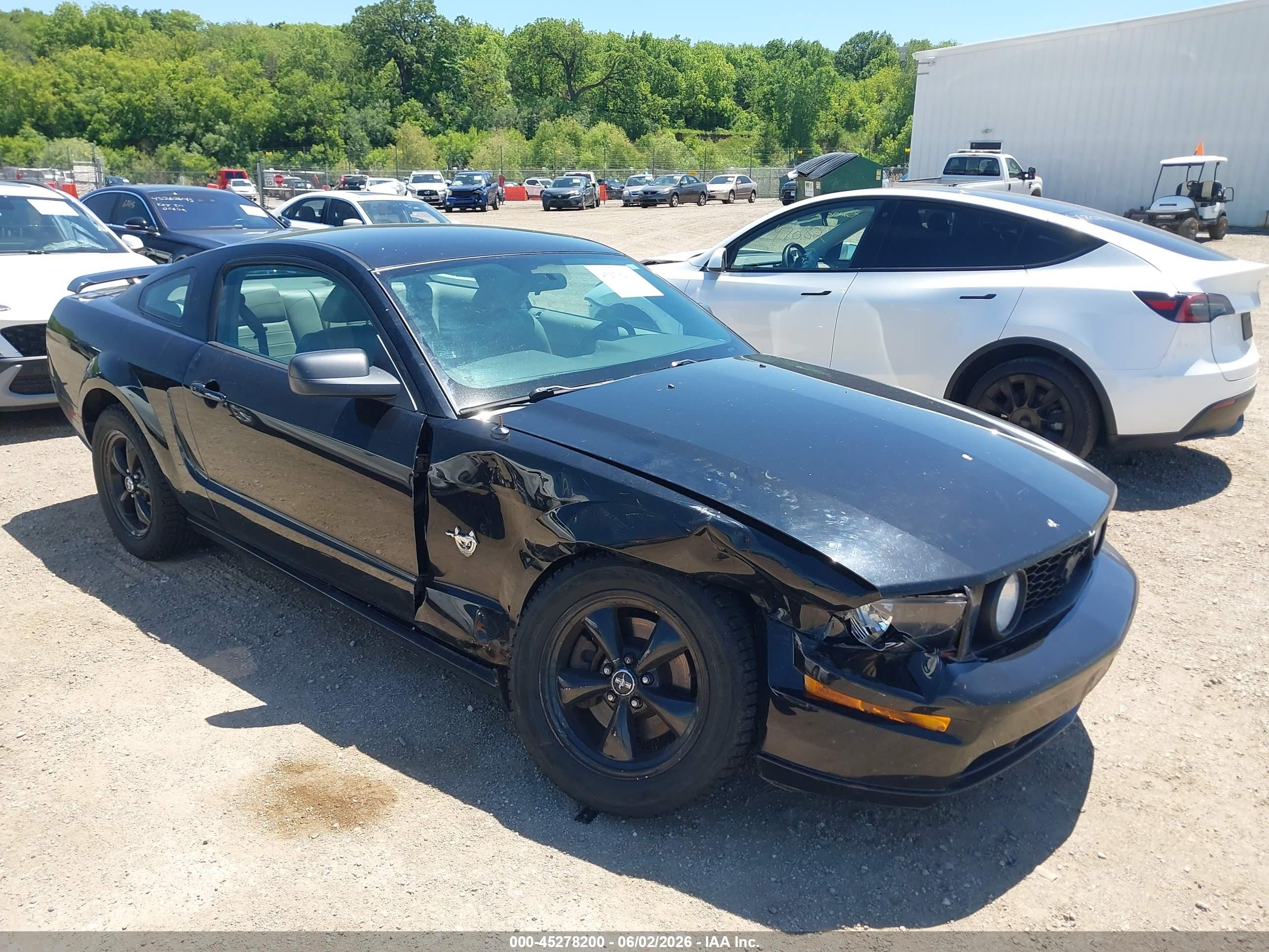 2009 Ford Mustang Gt/gt Premium Black vin: 1ZVHT82H395117757