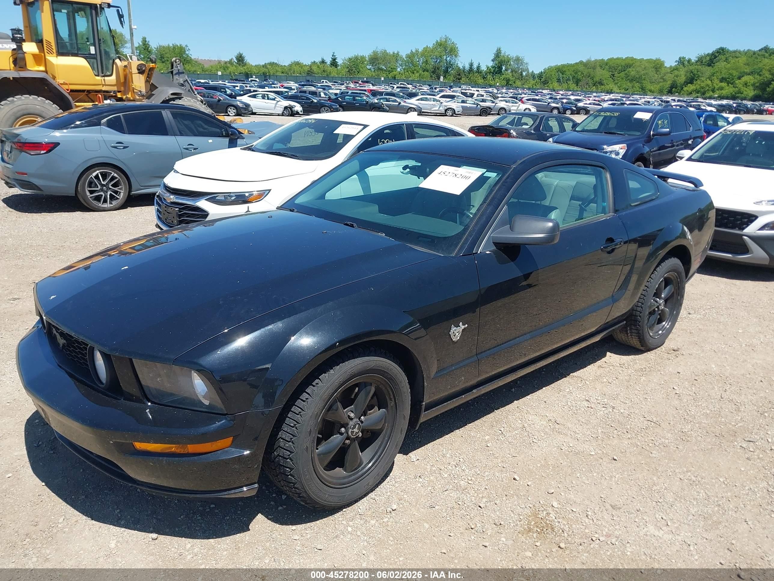 2009 Ford Mustang Gt/gt Premium Black vin: 1ZVHT82H395117757